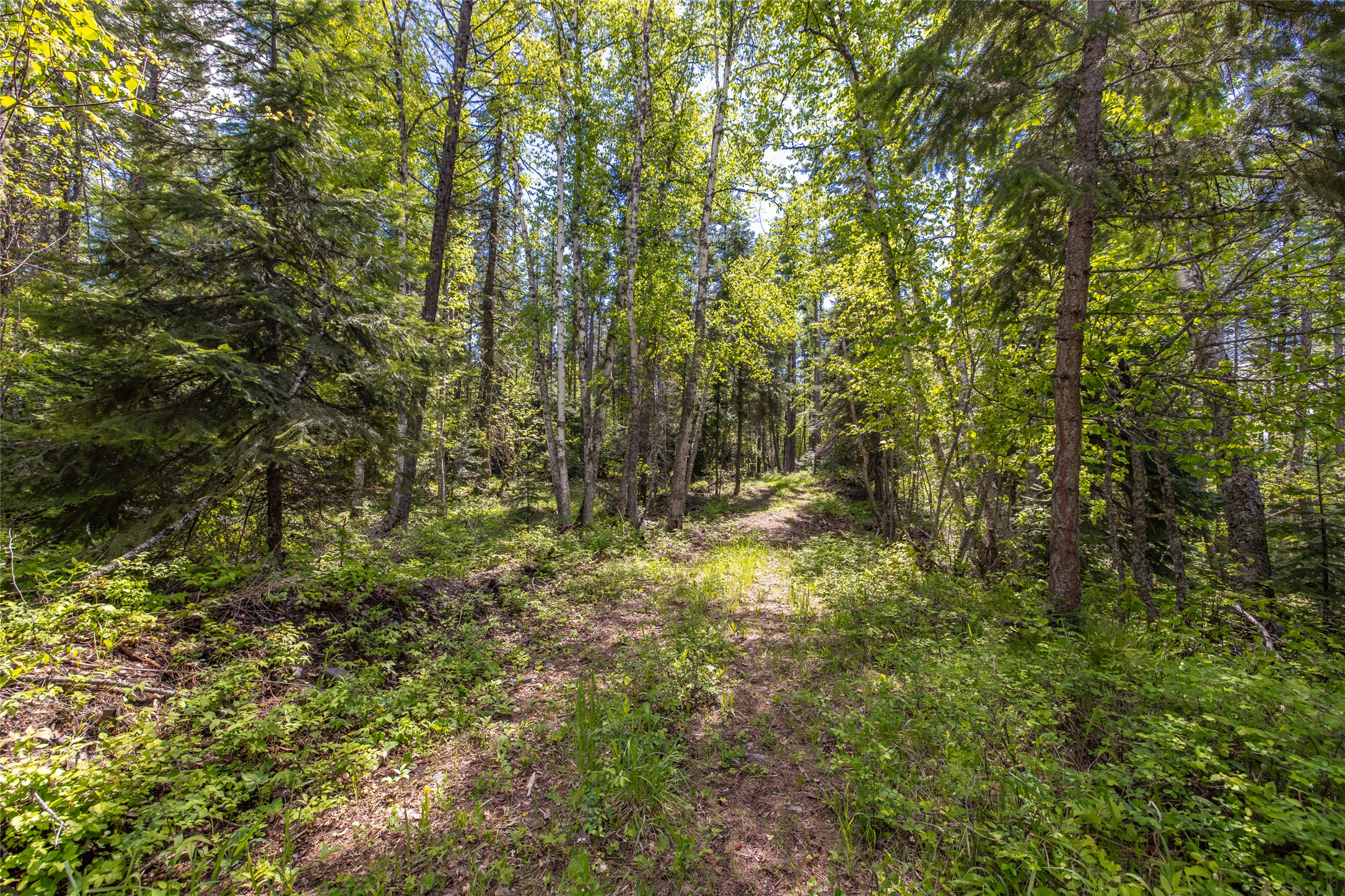 Nhn Red Hawk Drive Property Photo 12