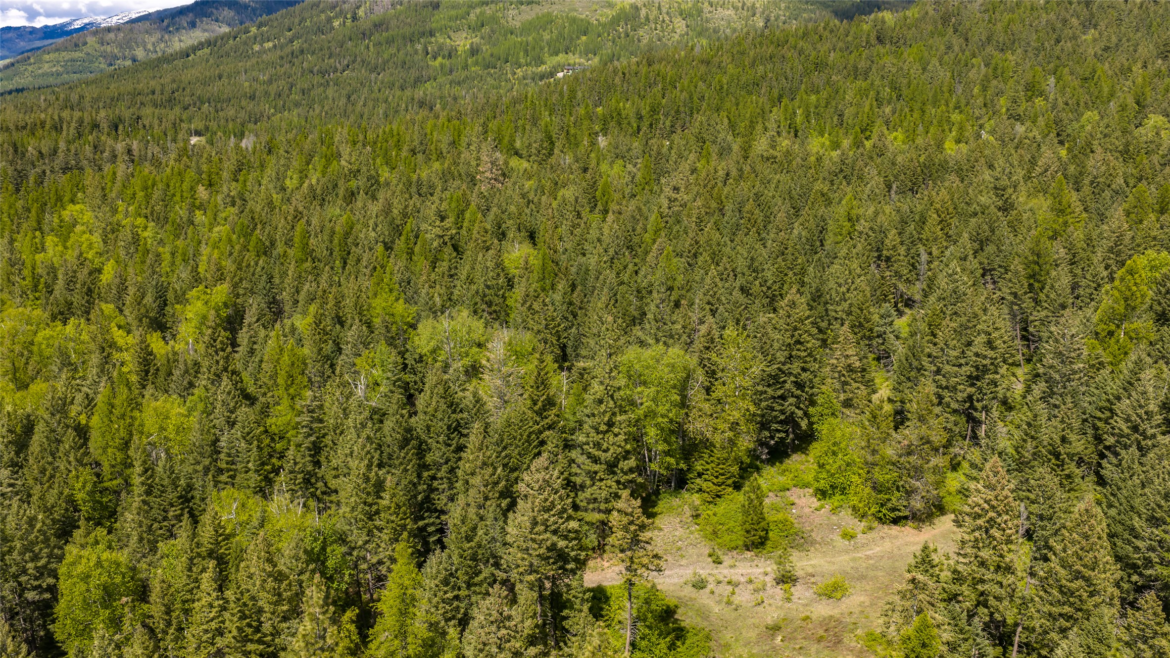 Nhn Red Hawk Drive Property Photo 15