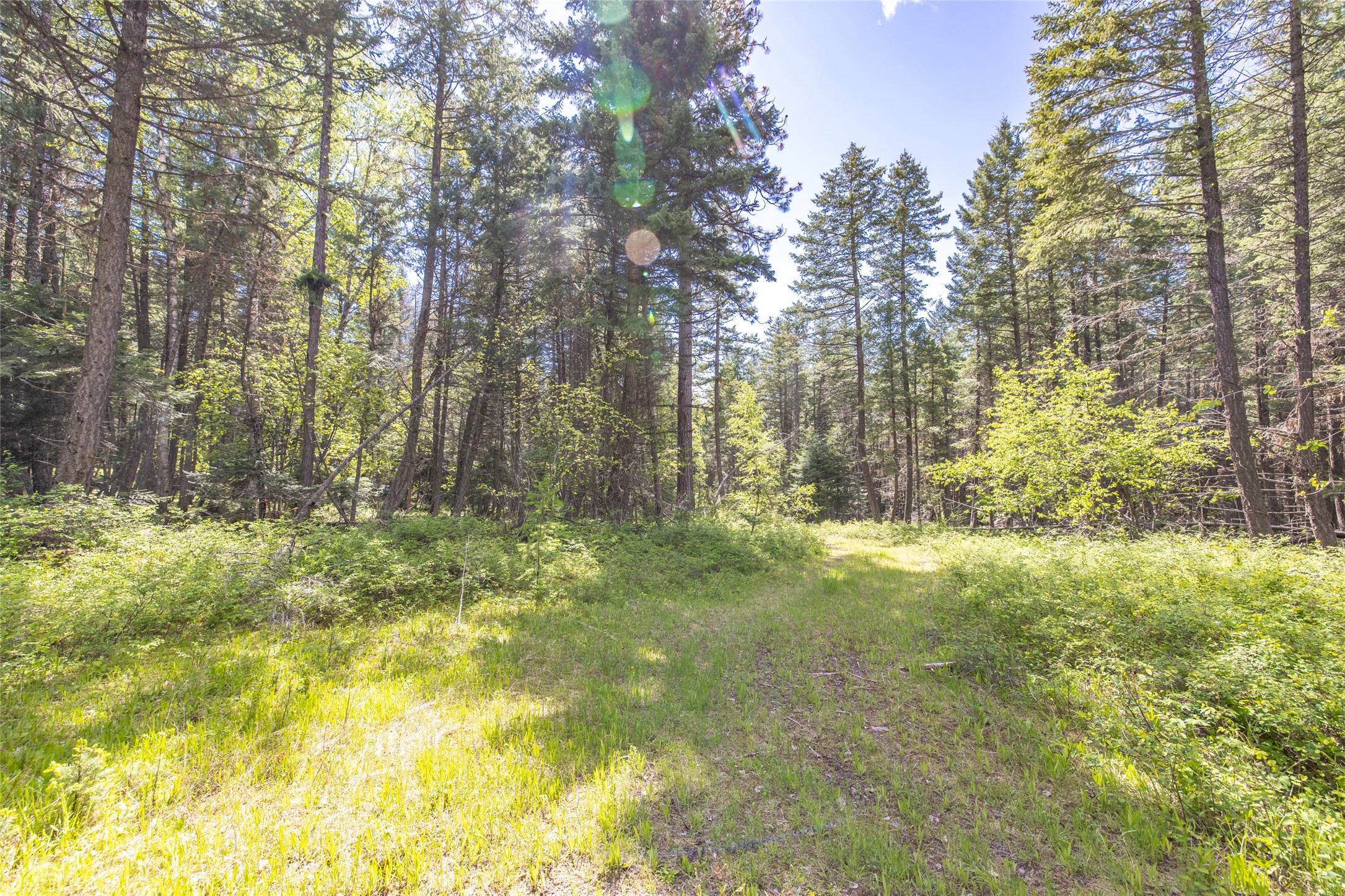 Nhn Red Hawk Drive Property Photo 24