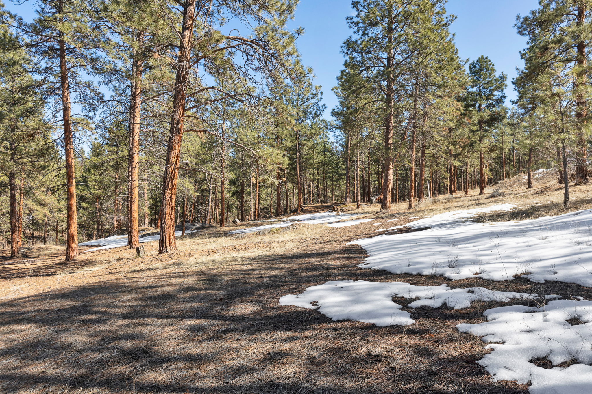 1437 Stock Farm Road Property Photo 3