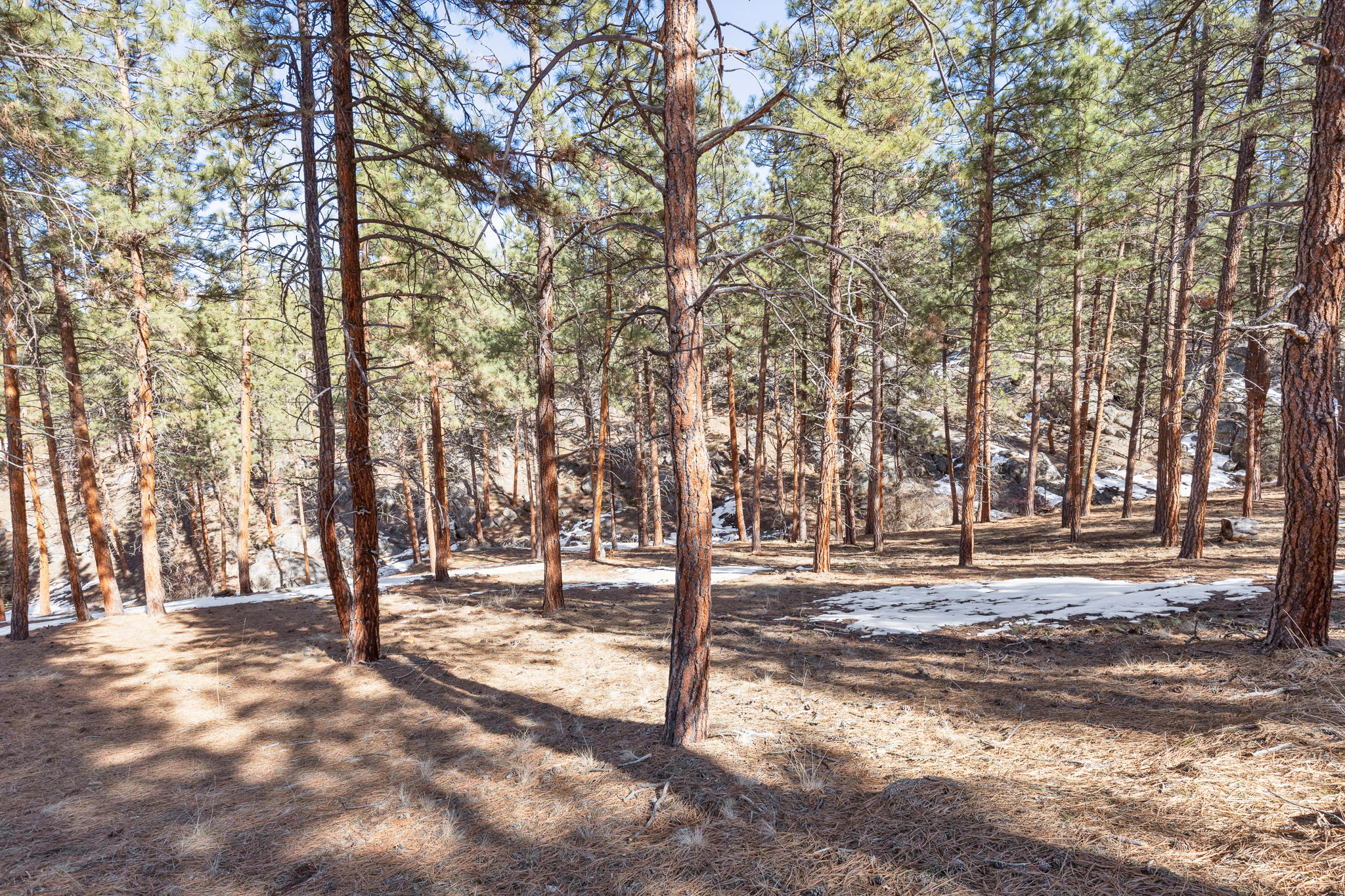 1437 Stock Farm Road Property Photo 16