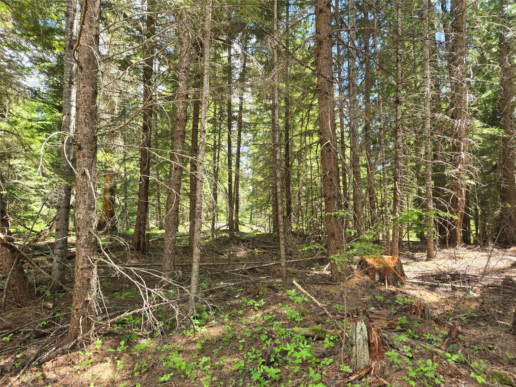 Lot A-4 Elk Heights Lane Property Photo 1