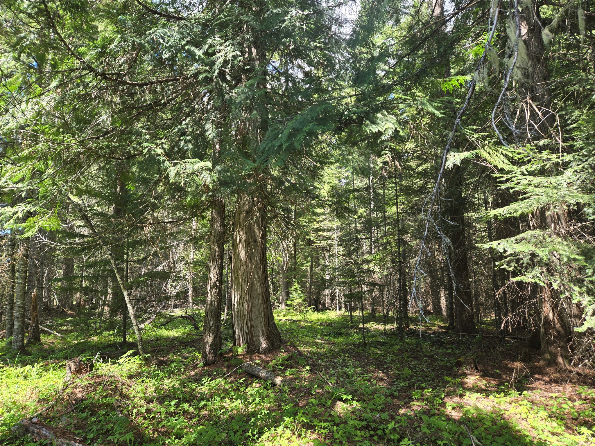 Lot A-1 Elk Heights Lane Property Photo 1