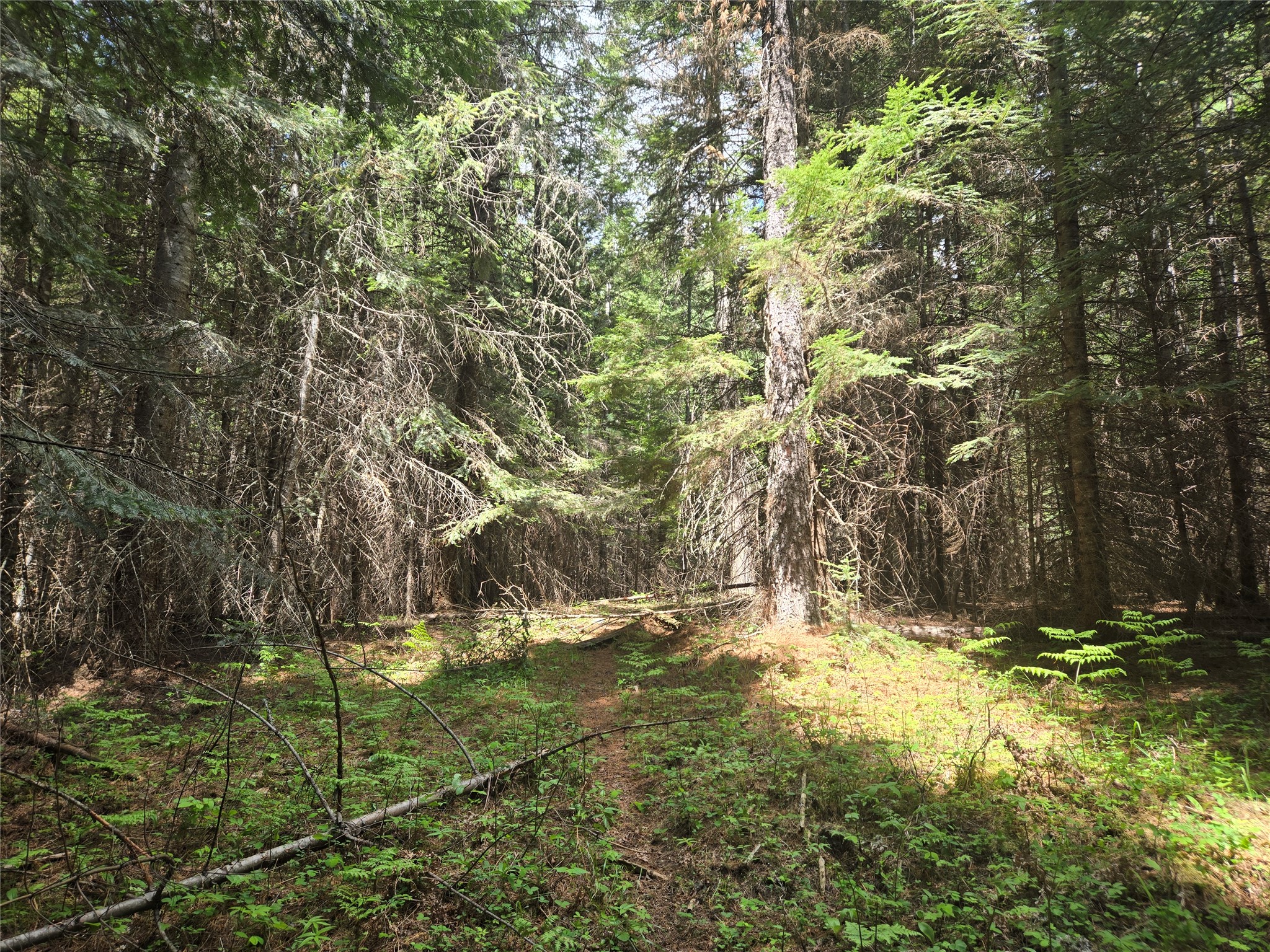 Lot A-2 Elk Heights Lane Property Photo 1