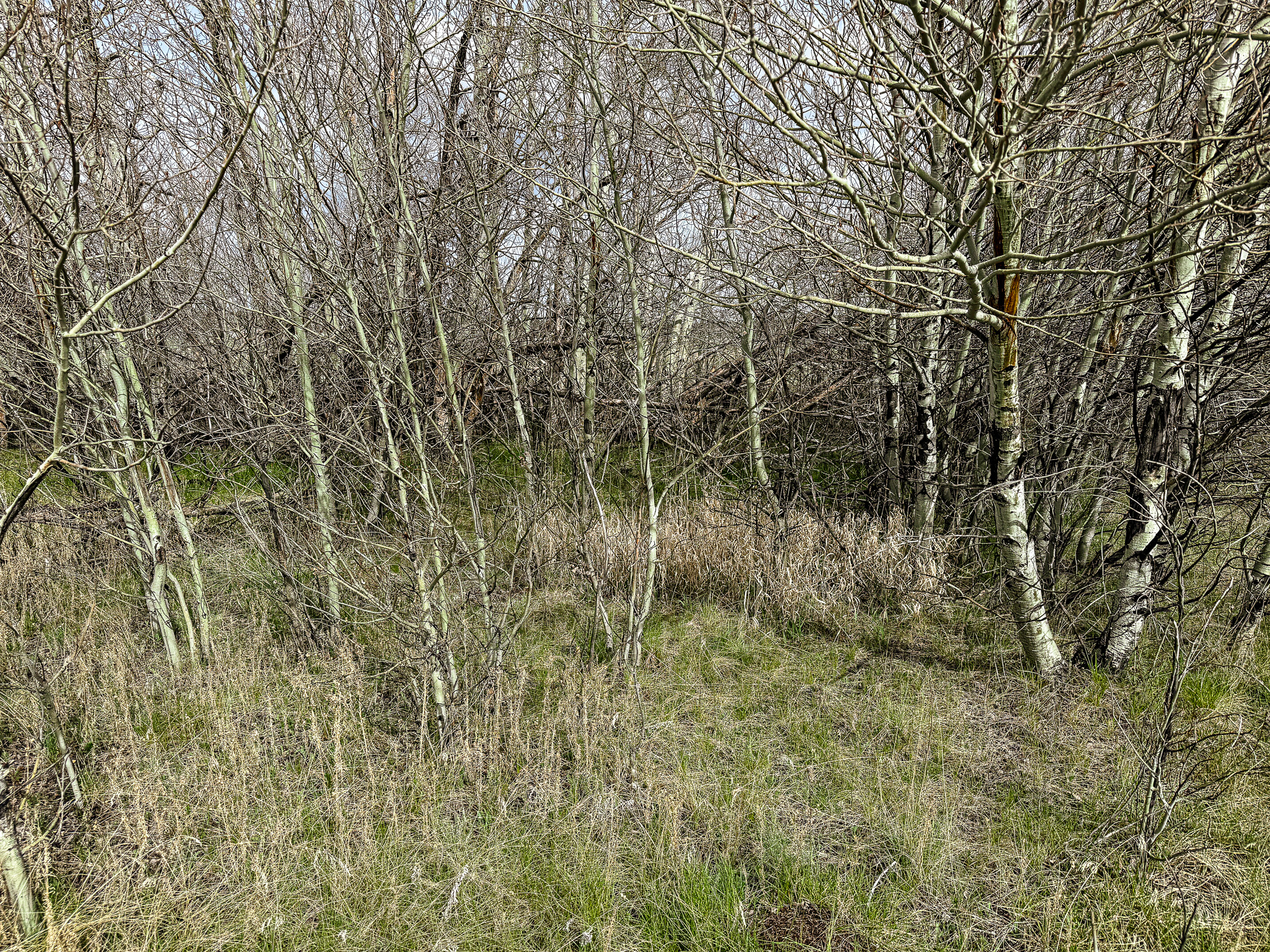 7615 Highway 2 Property Photo 44