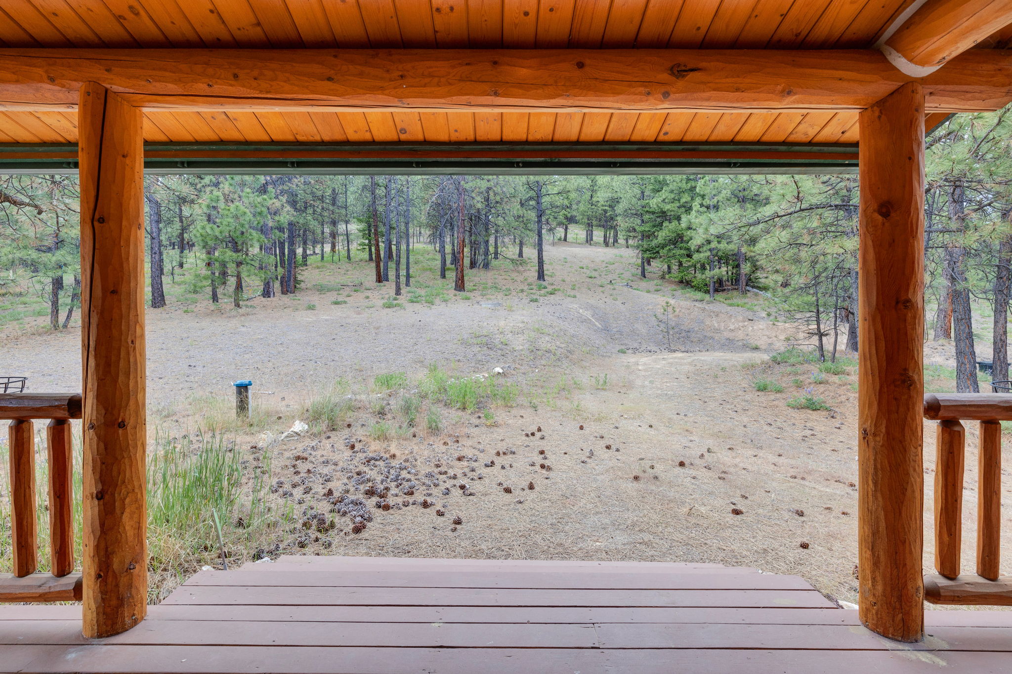 2122 Lightning Draw Trail Property Photo 9