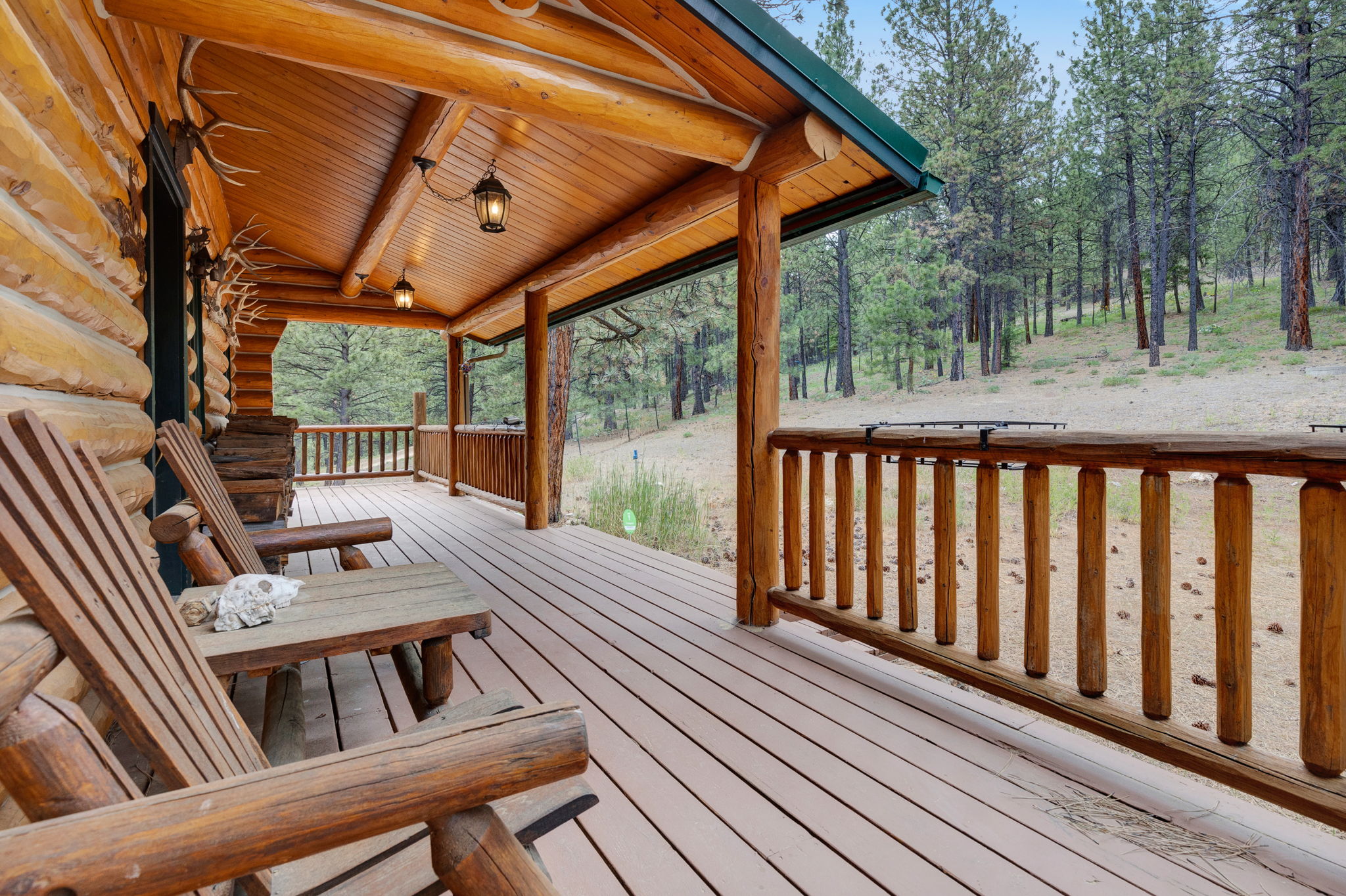 2122 Lightning Draw Trail Property Photo 10