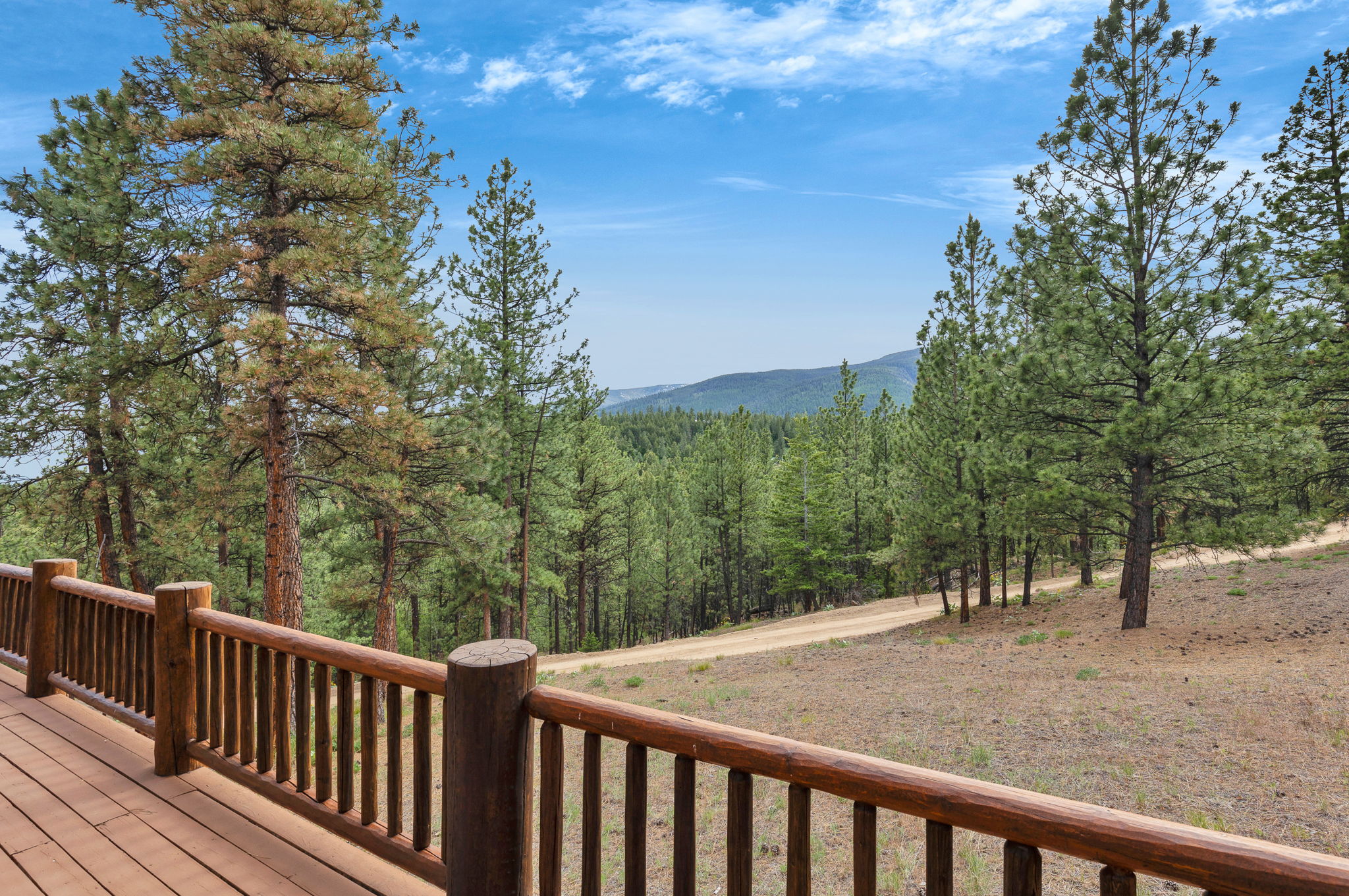 2122 Lightning Draw Trail Property Photo 16