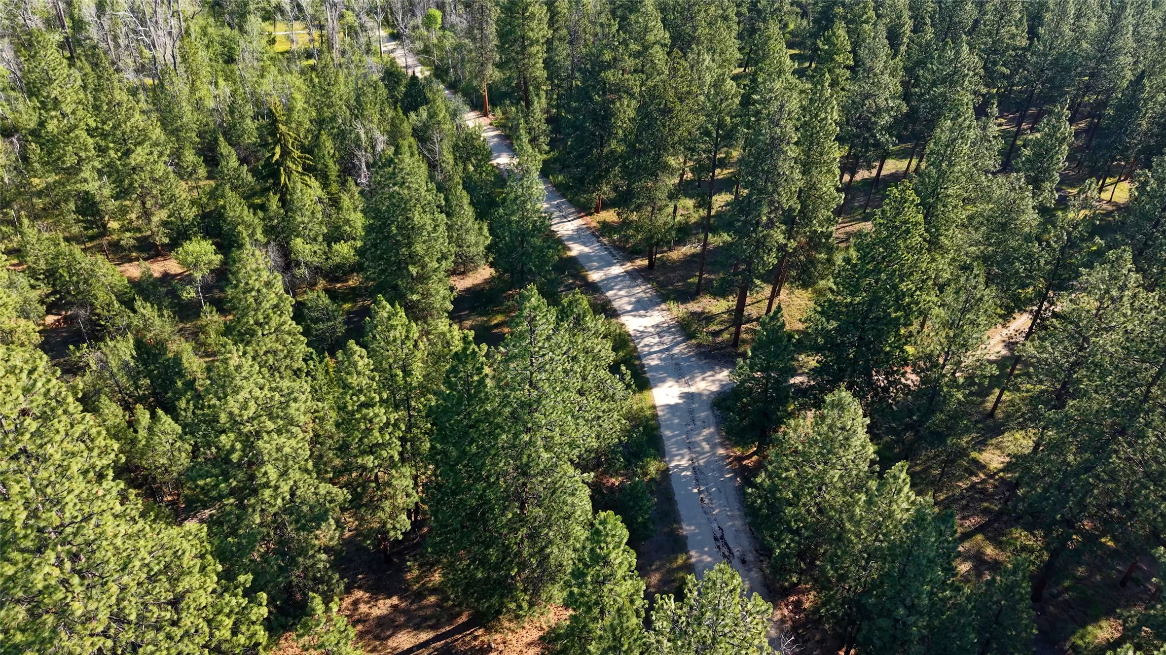 562 Churn Creek Trail Property Photo 2