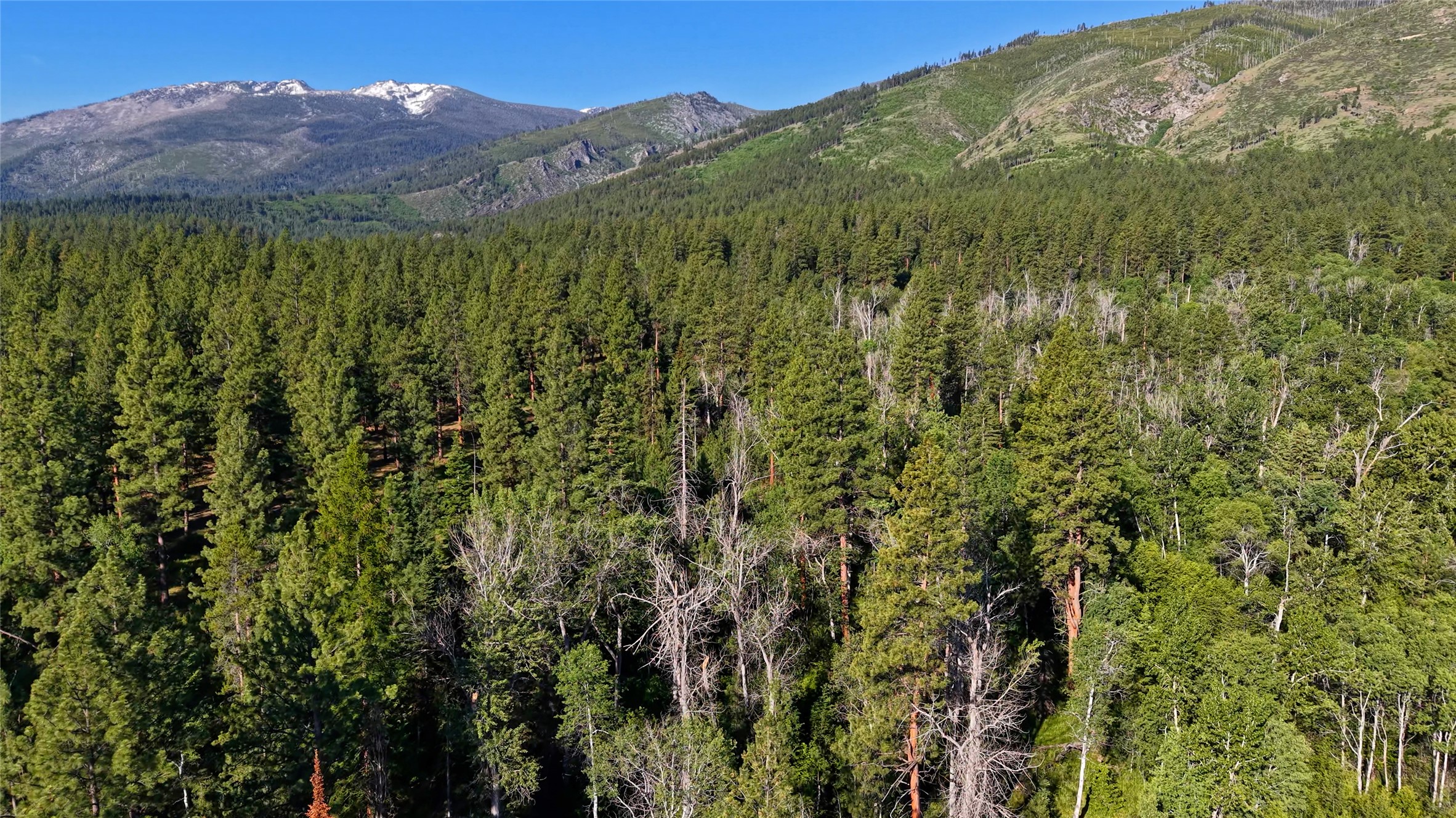 562 Churn Creek Trail Property Photo 3