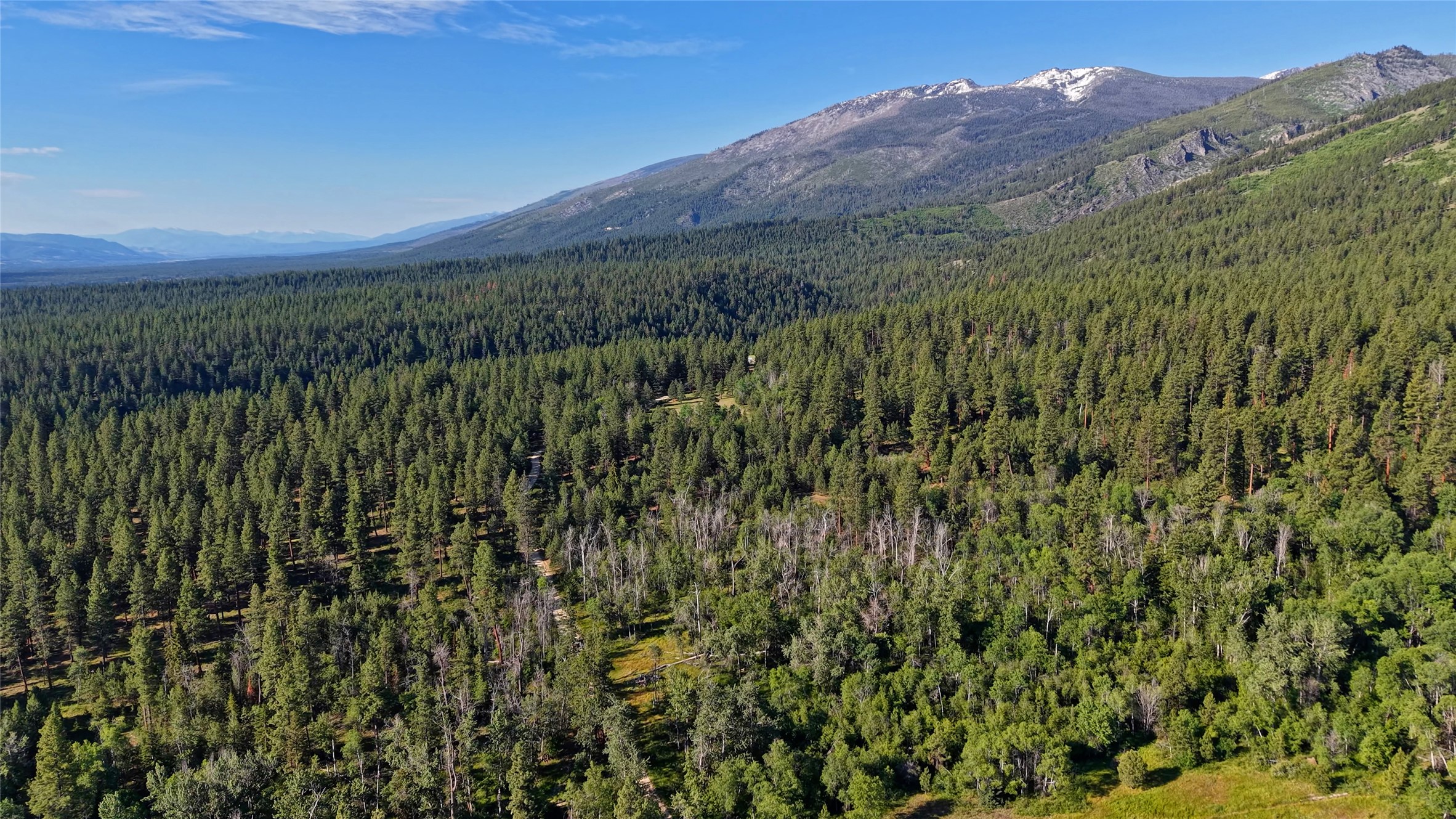 562 Churn Creek Trail Property Photo 5