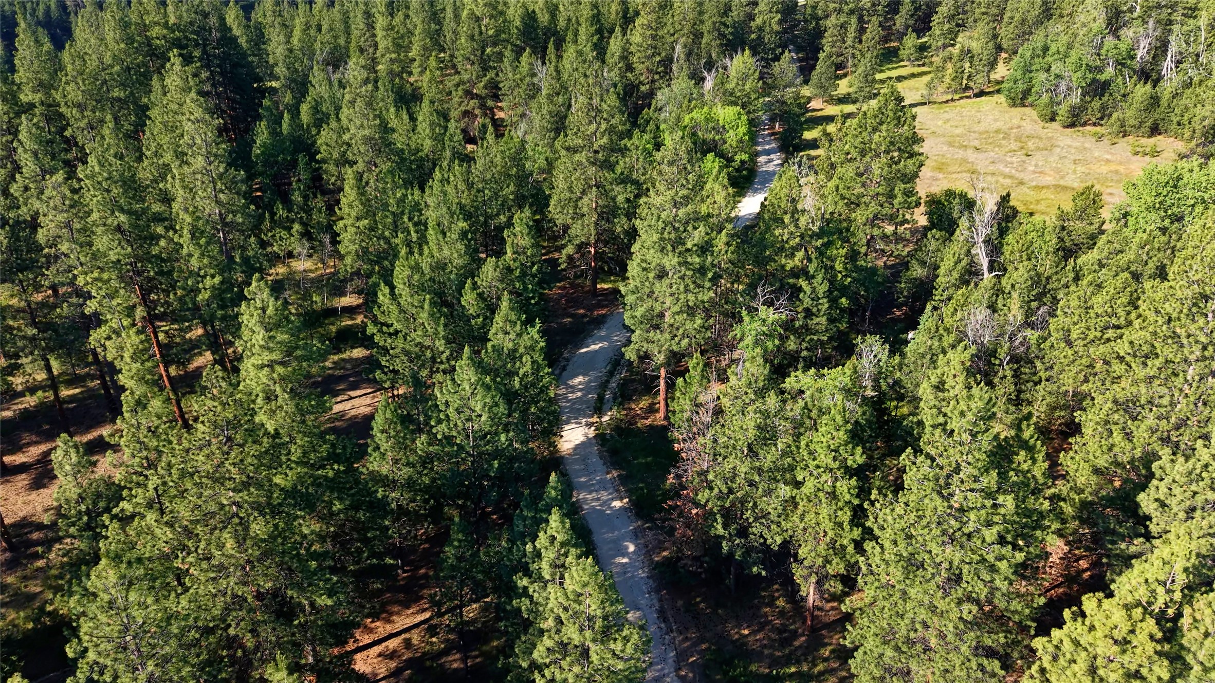 562 Churn Creek Trail Property Photo 7