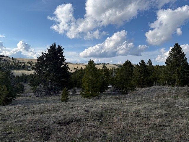 Tbd Blossburg Road Property Photo 3