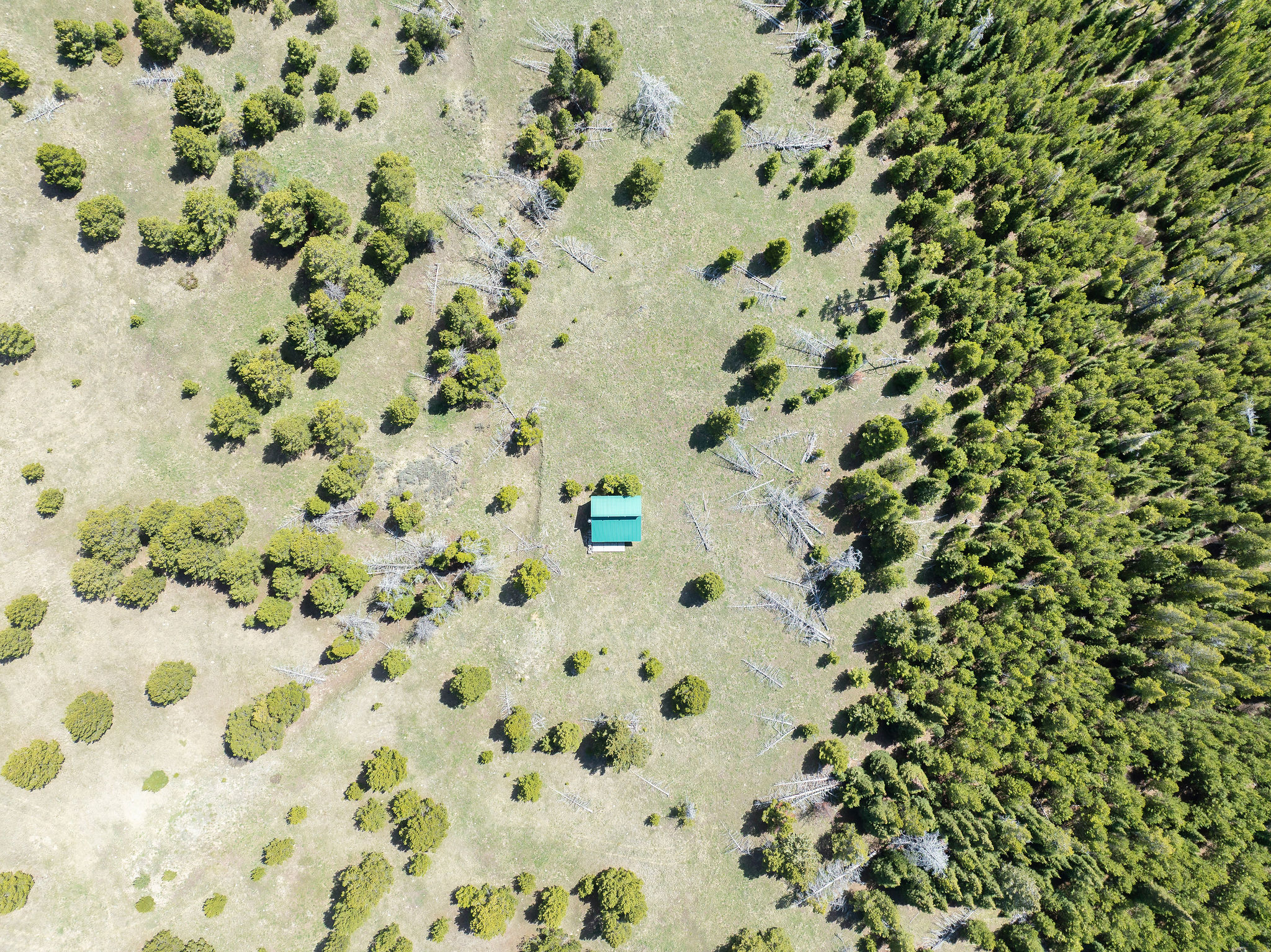 Tbd Blossburg Road Property Photo 19