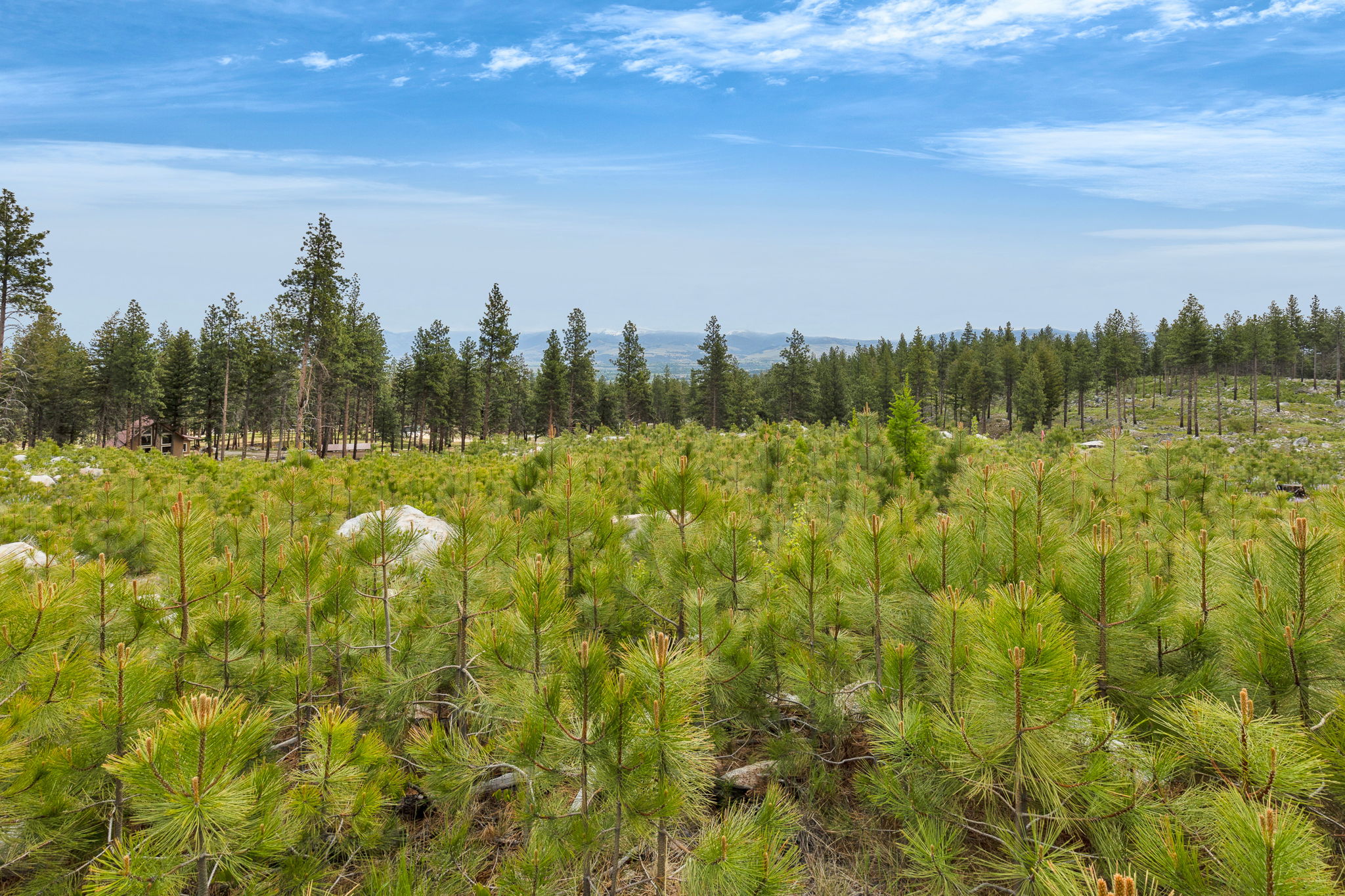 Nhn Lot 8 Roaring Lion Road Property Photo 12