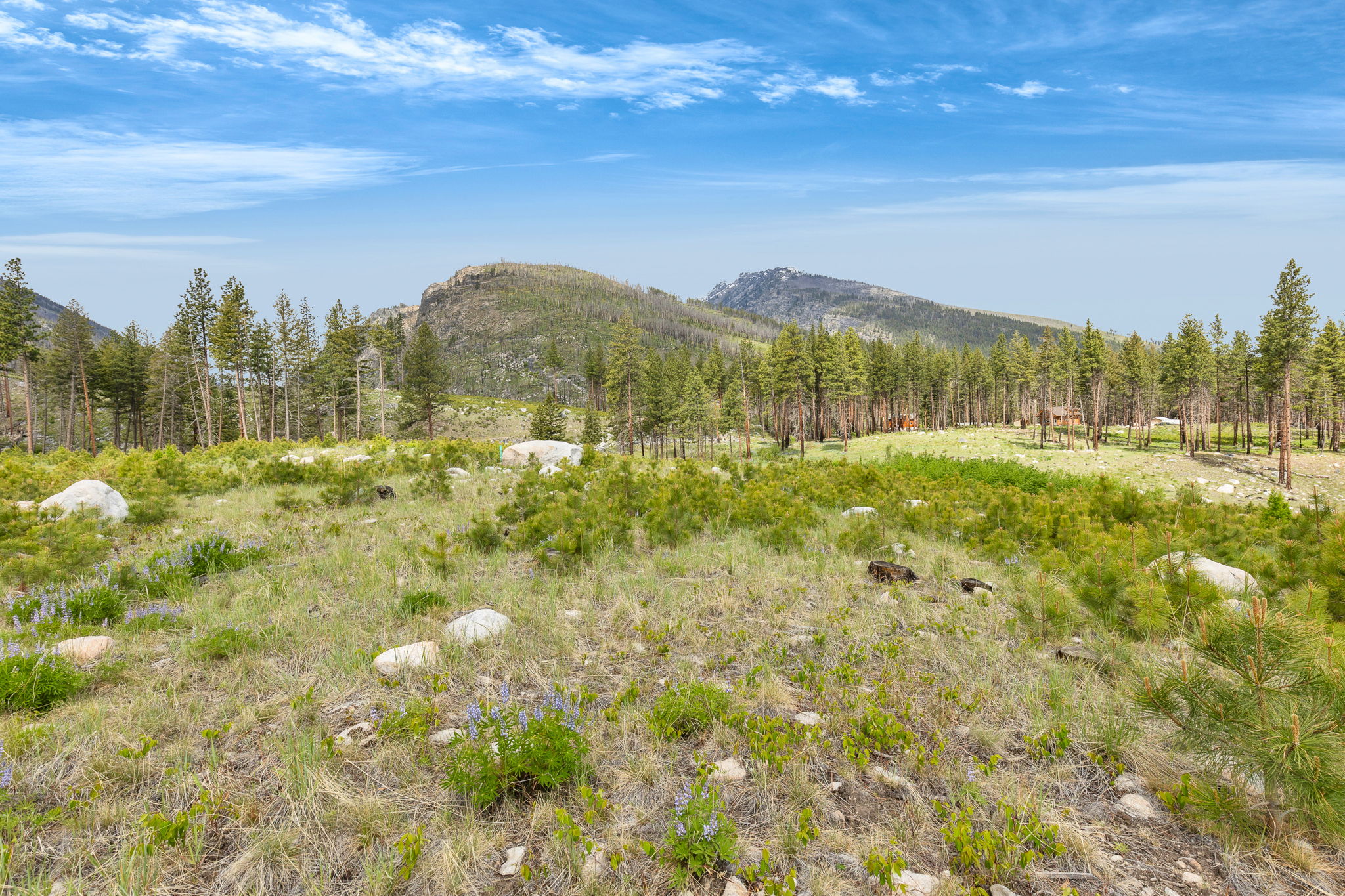 Nhn Lot 8 Roaring Lion Road Property Photo 13