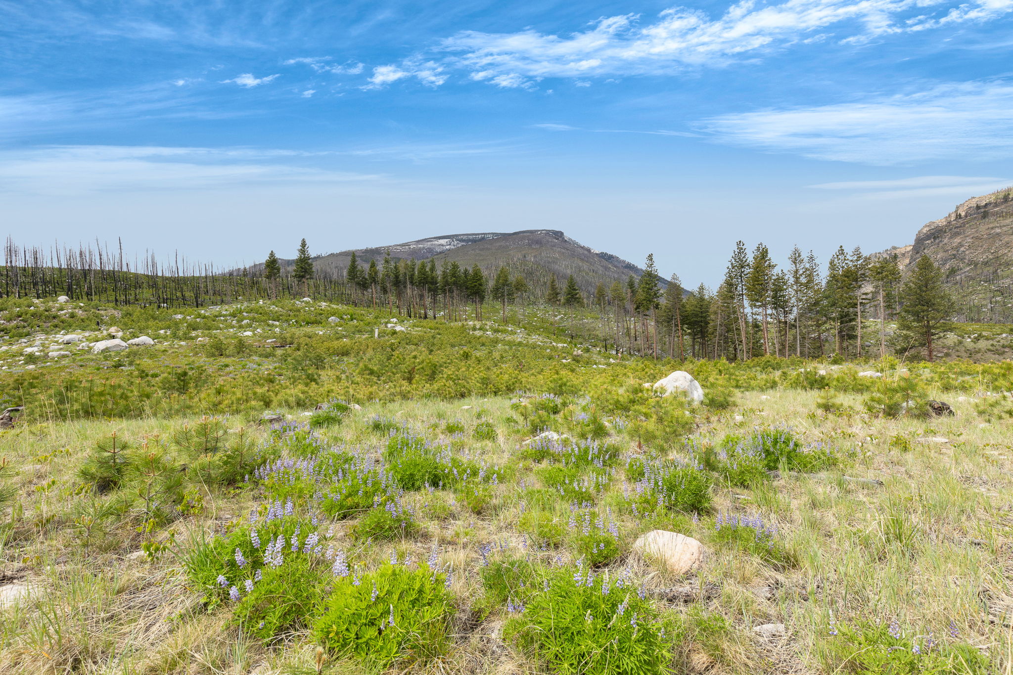Nhn Lot 8 Roaring Lion Road Property Photo 14