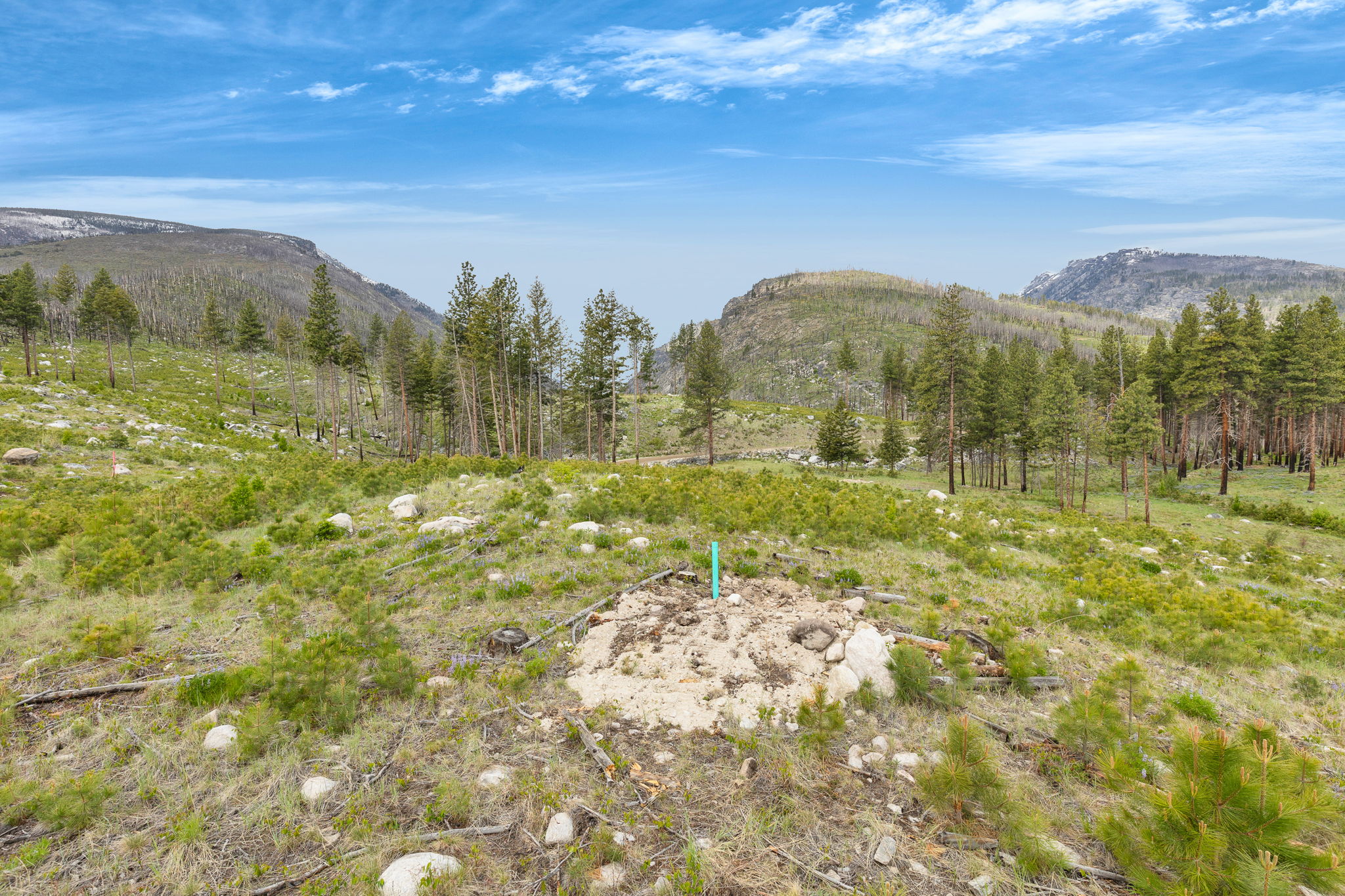 Nhn Lot 8 Roaring Lion Road Property Photo 15