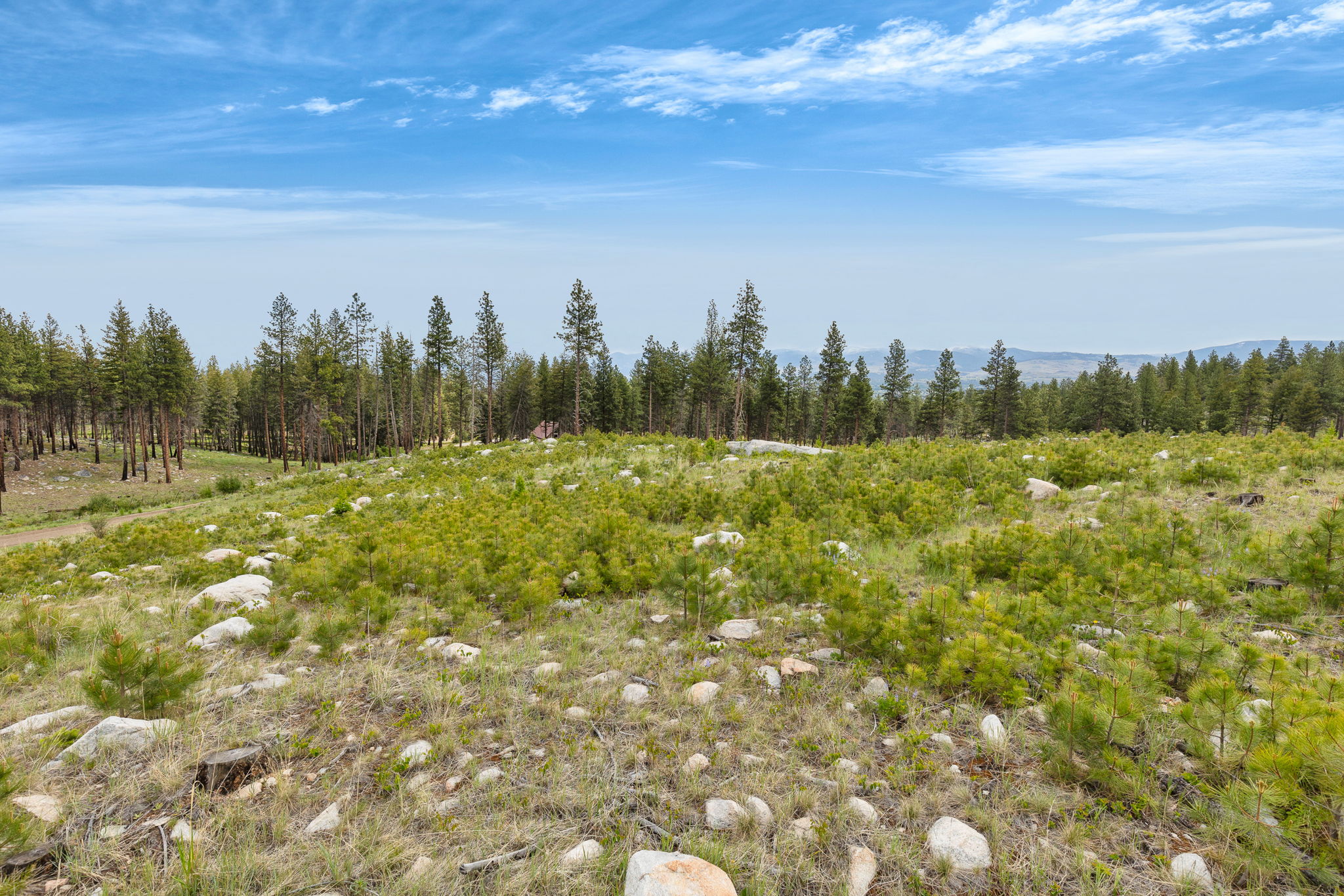 Nhn Lot 8 Roaring Lion Road Property Photo 16