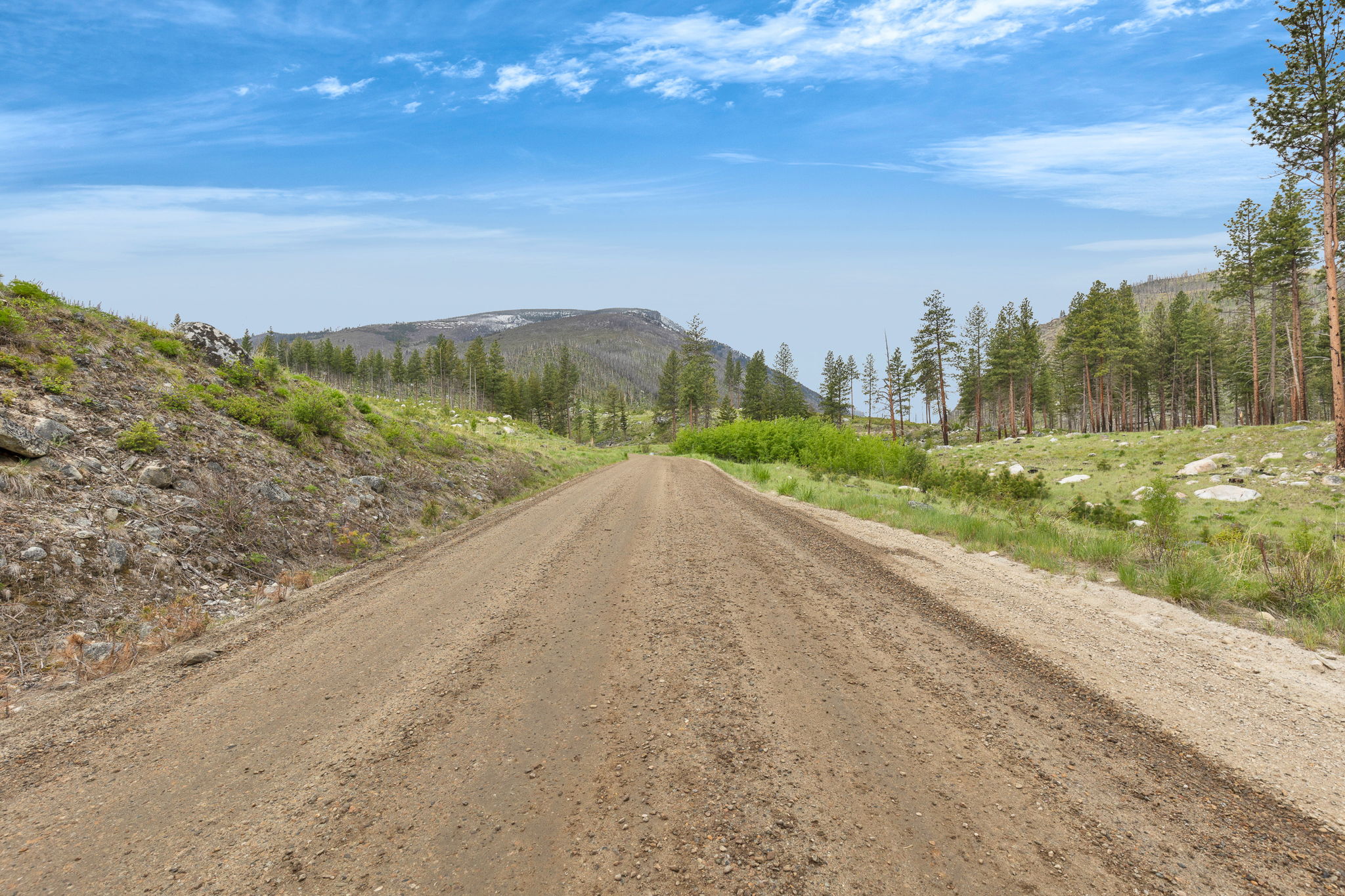 Nhn Lot 8 Roaring Lion Road Property Photo 18
