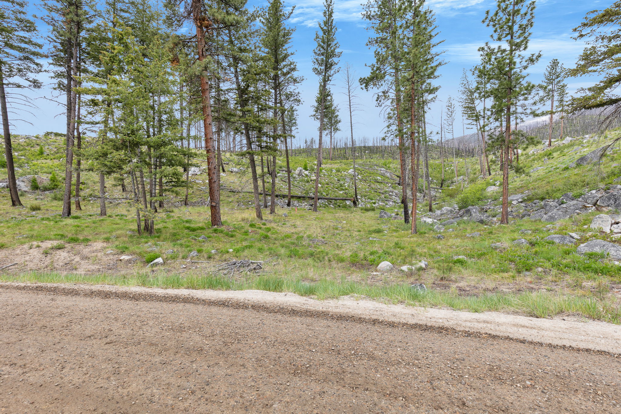 Nhn Lot 8 Roaring Lion Road Property Photo 21