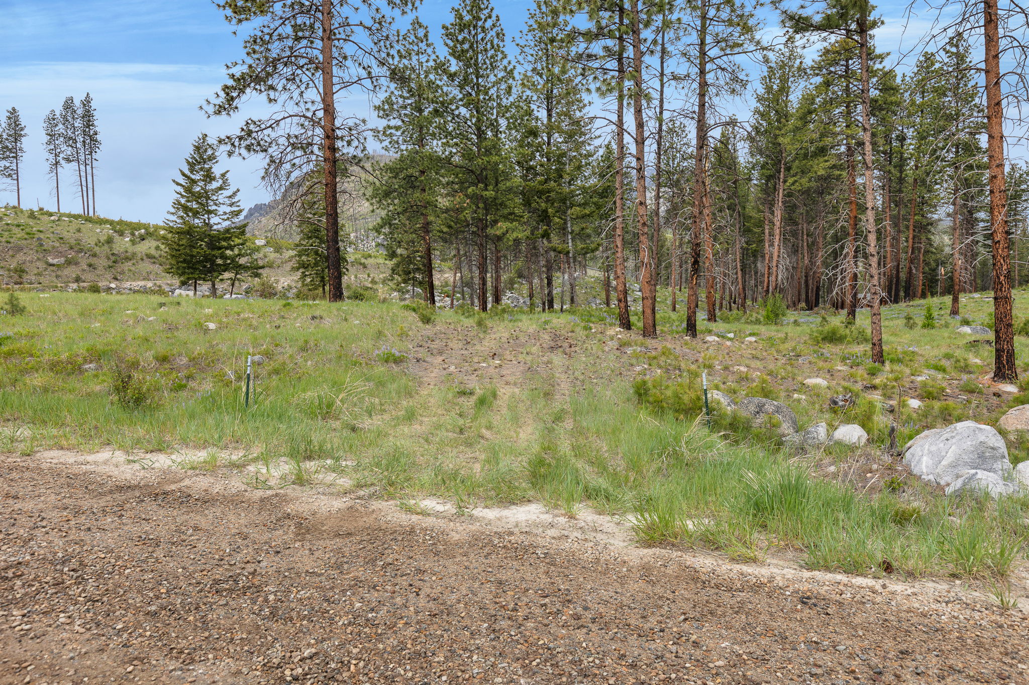 Nhn Lot 8 Roaring Lion Road Property Photo 23