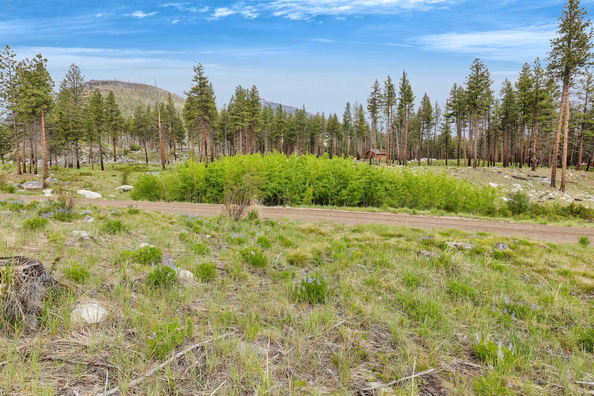 Nhn Lot 8 Roaring Lion Road Property Photo 25