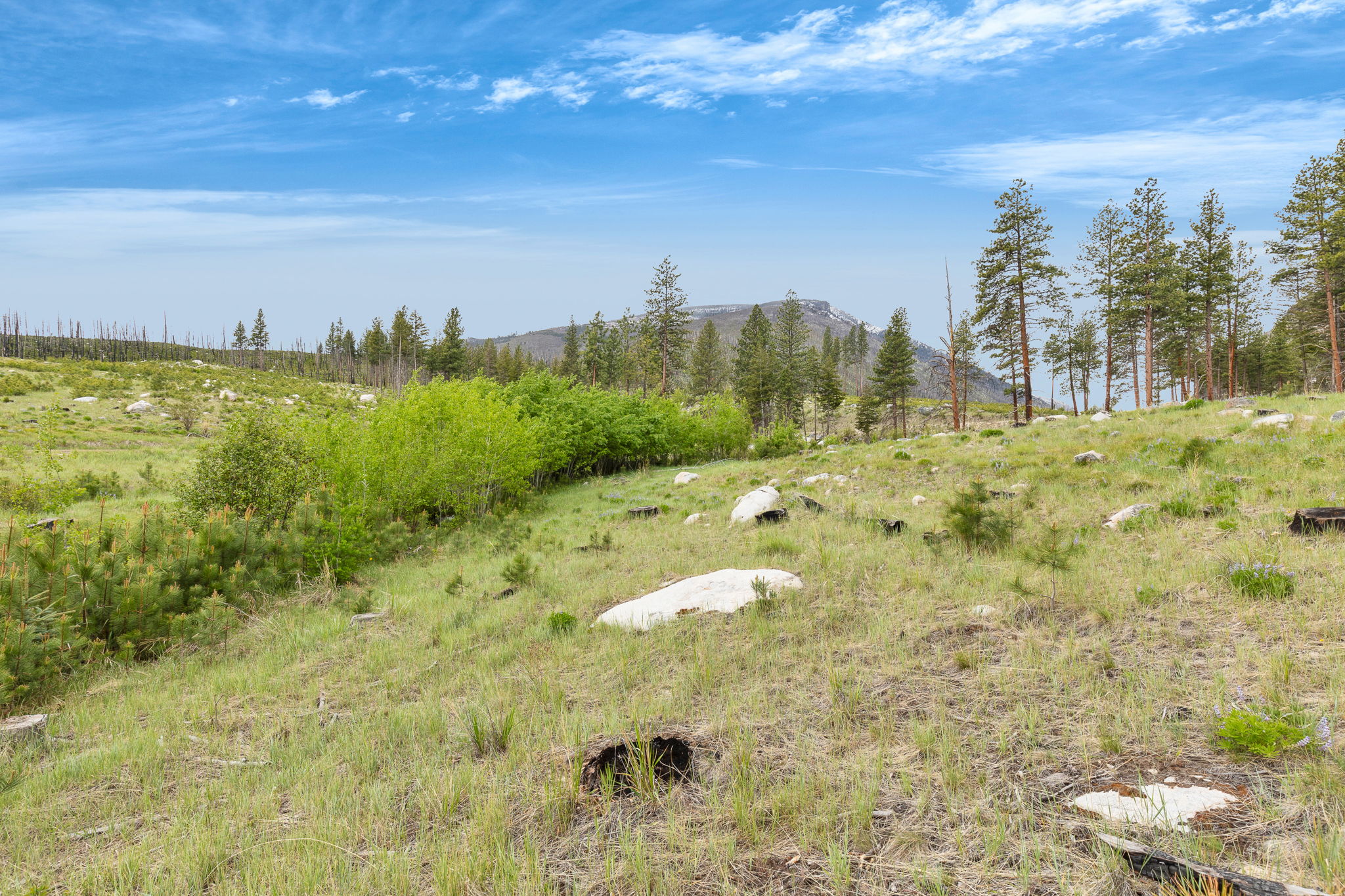Nhn Lot 8 Roaring Lion Road Property Photo 27