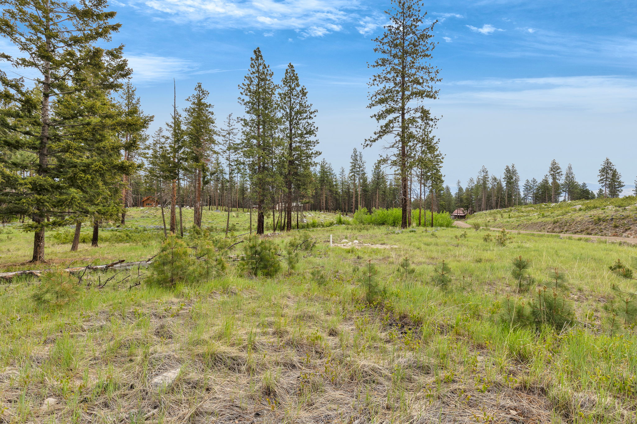 Nhn Lot 8 Roaring Lion Road Property Photo 29