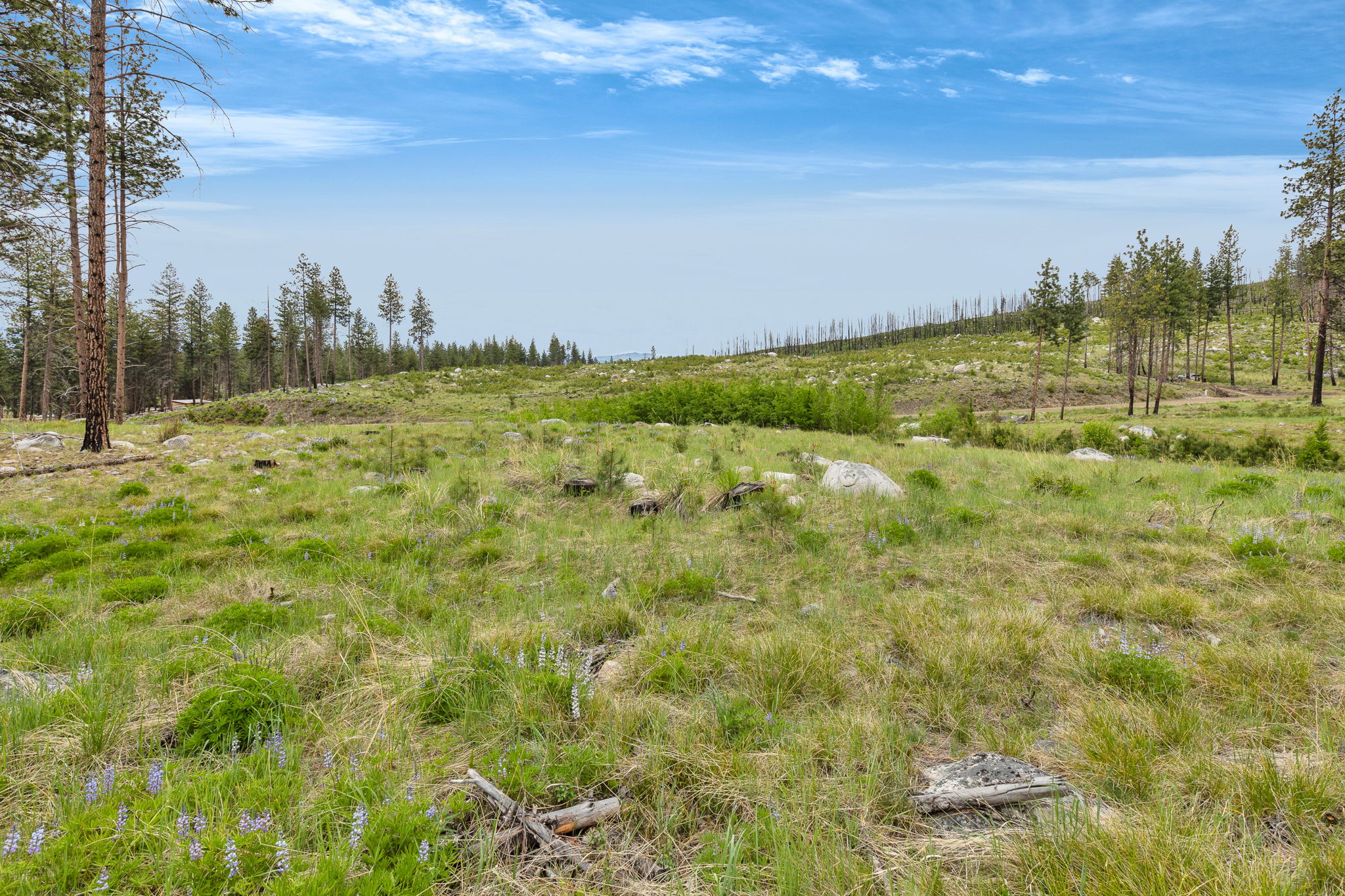 Nhn Lot 8 Roaring Lion Road Property Photo 30
