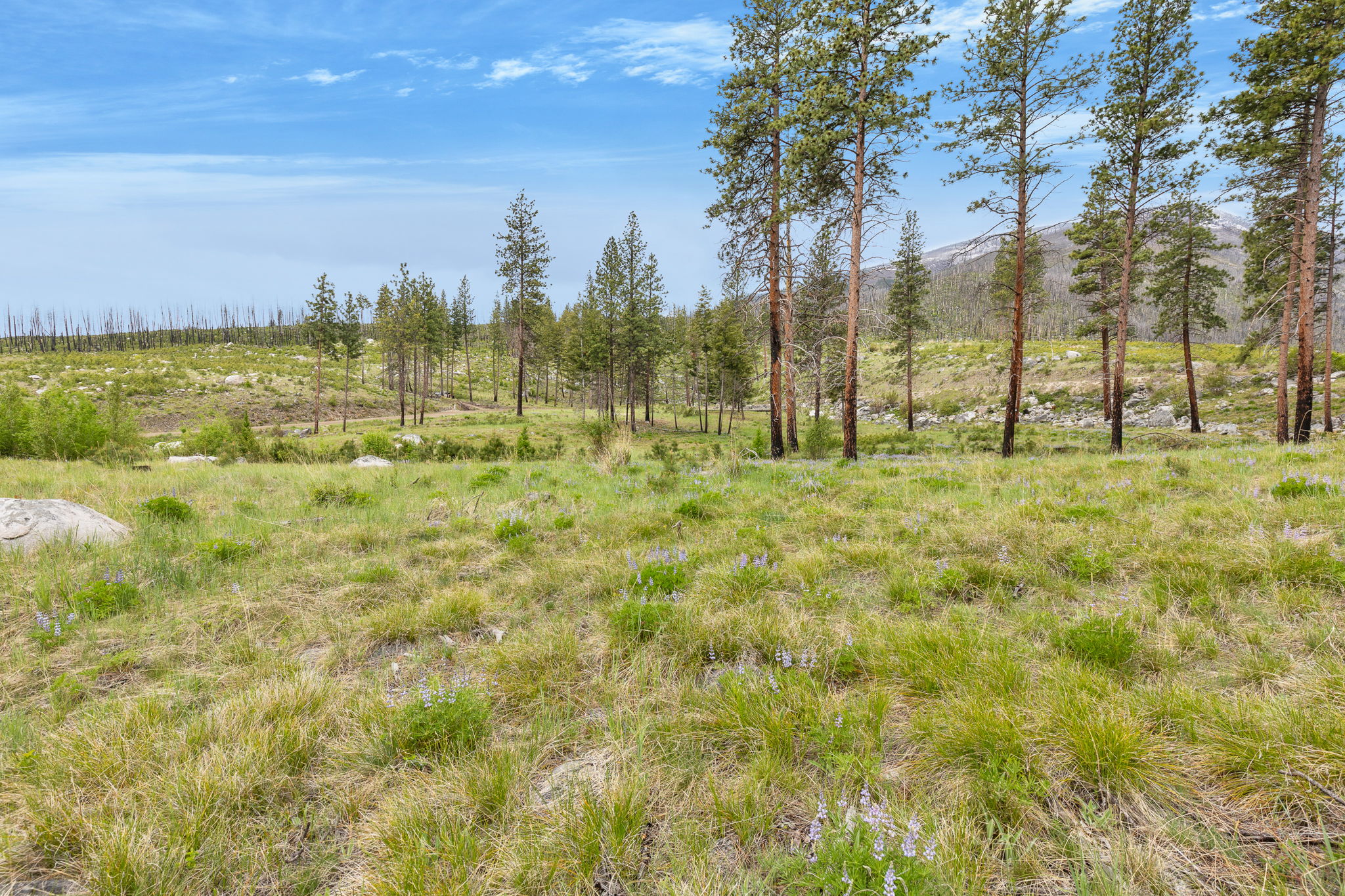 Nhn Lot 8 Roaring Lion Road Property Photo 31