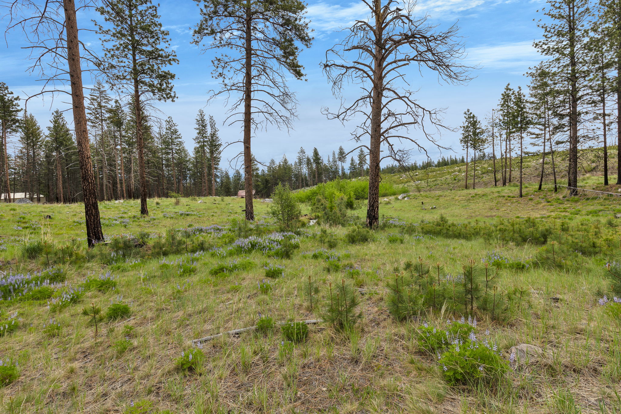 Nhn Lot 8 Roaring Lion Road Property Photo 32