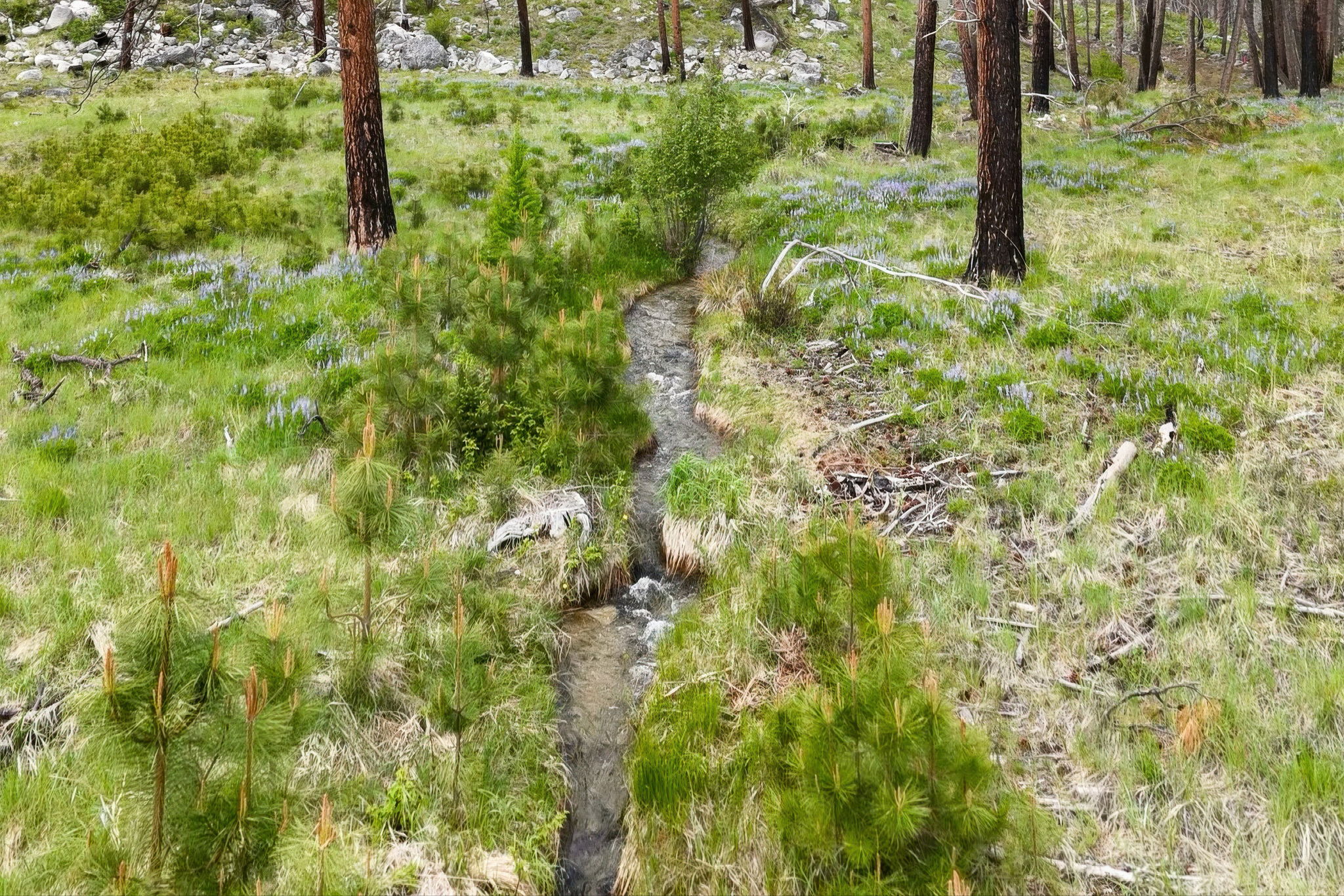 Nhn Lot 8 Roaring Lion Road Property Photo 36