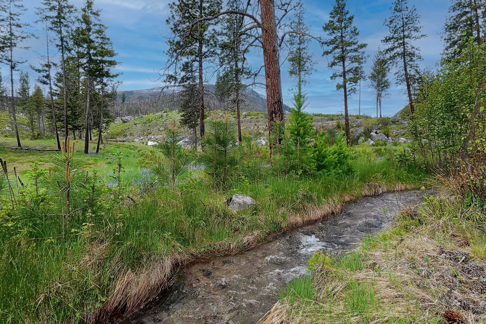 Nhn Lot 8 Roaring Lion Road Property Photo 37