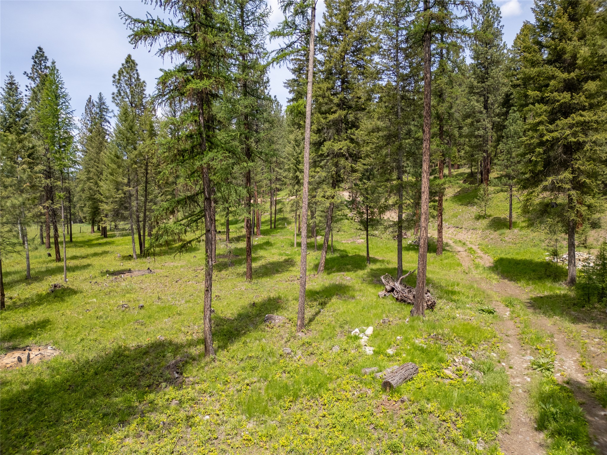 119 Skyline Court Property Photo 8