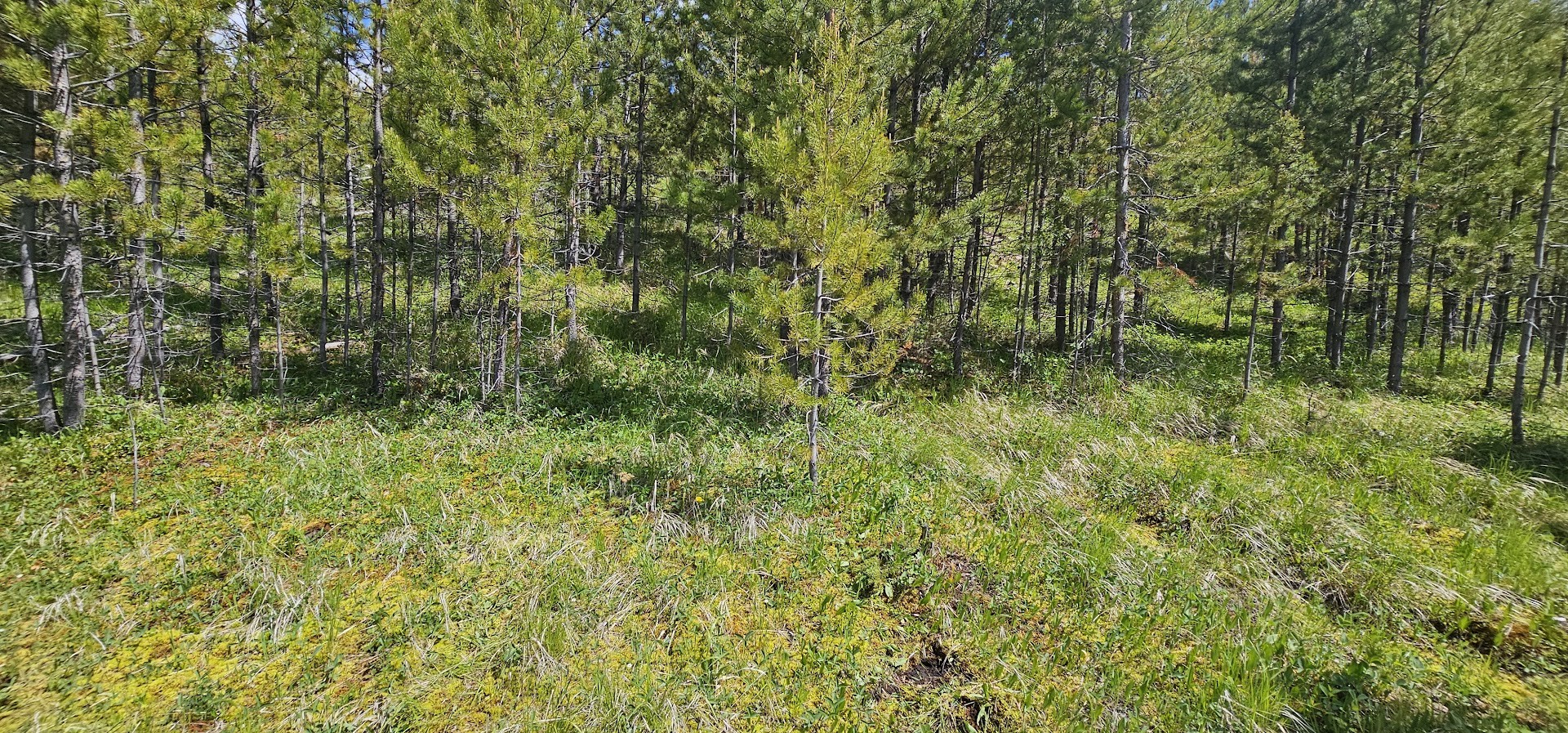 8 Tract Hall Creek Property Photo 7