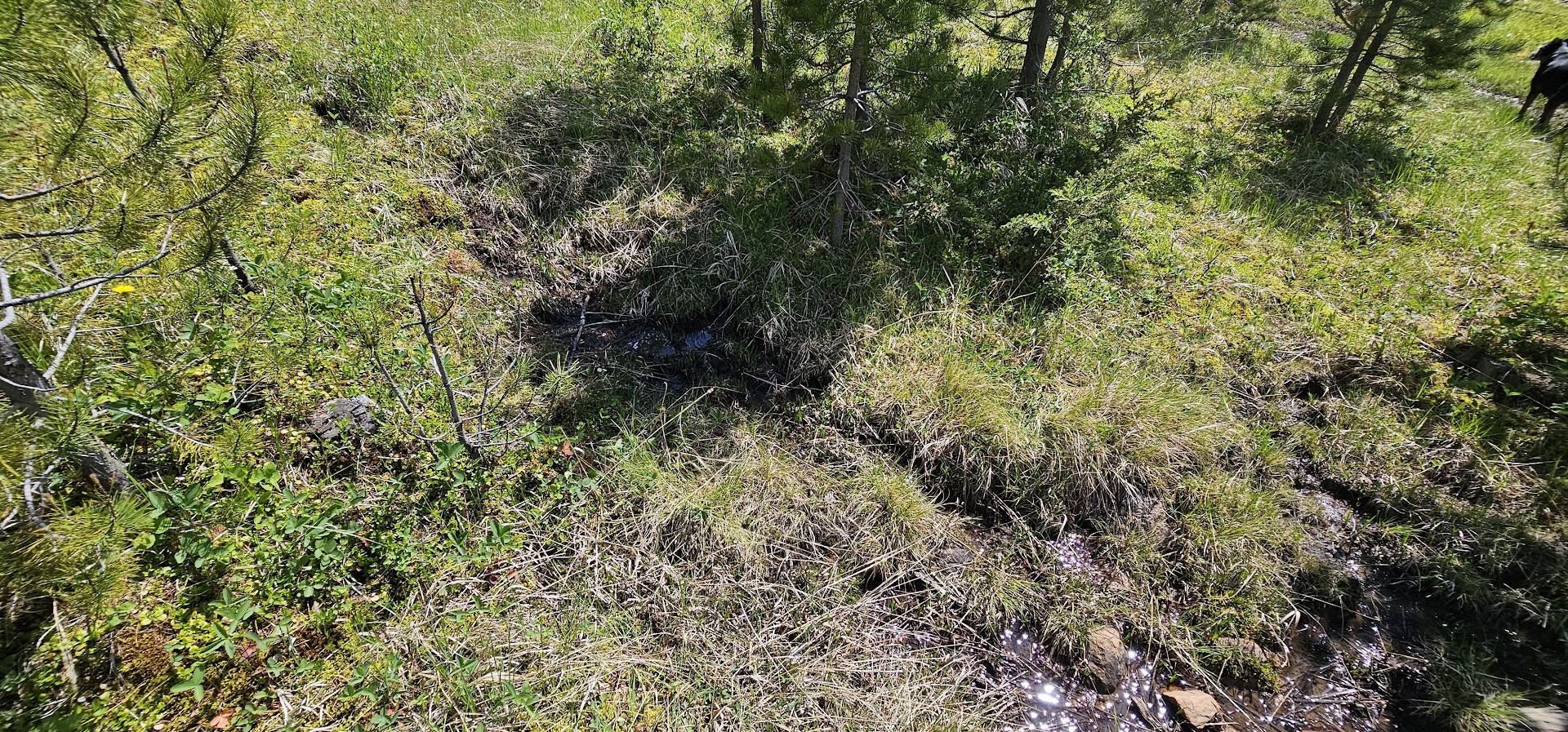 8 Tract Hall Creek Property Photo 8