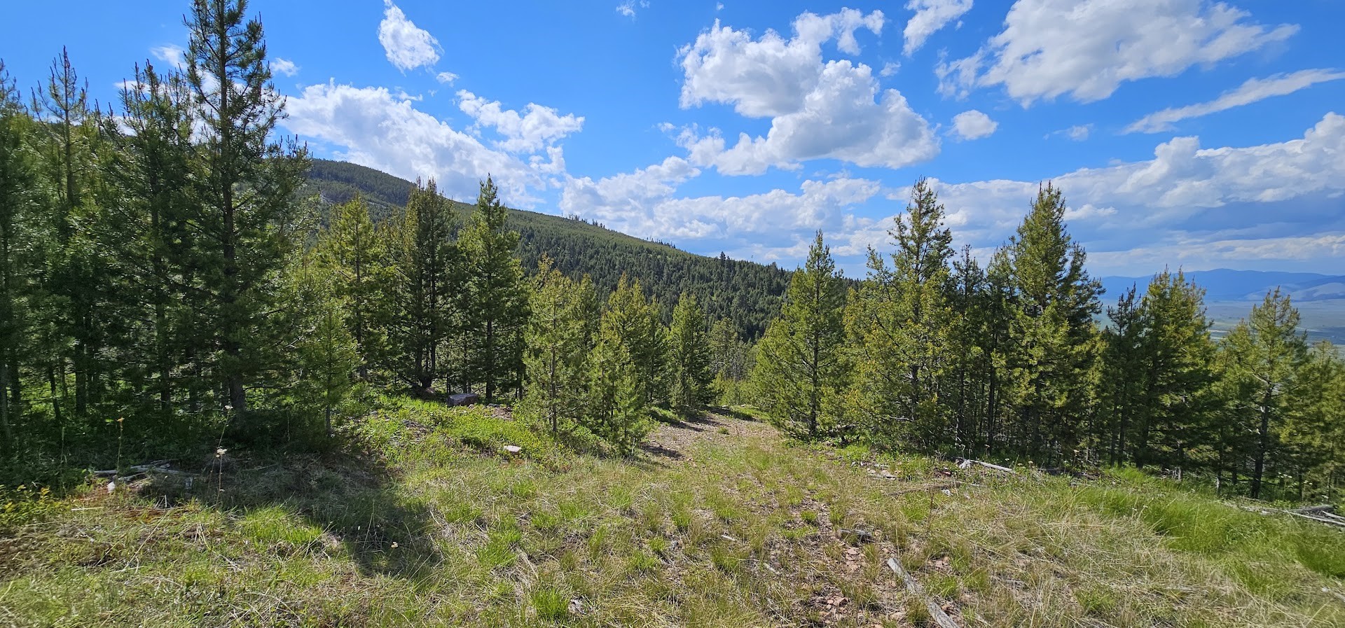 8 Tract Hall Creek Property Photo 10