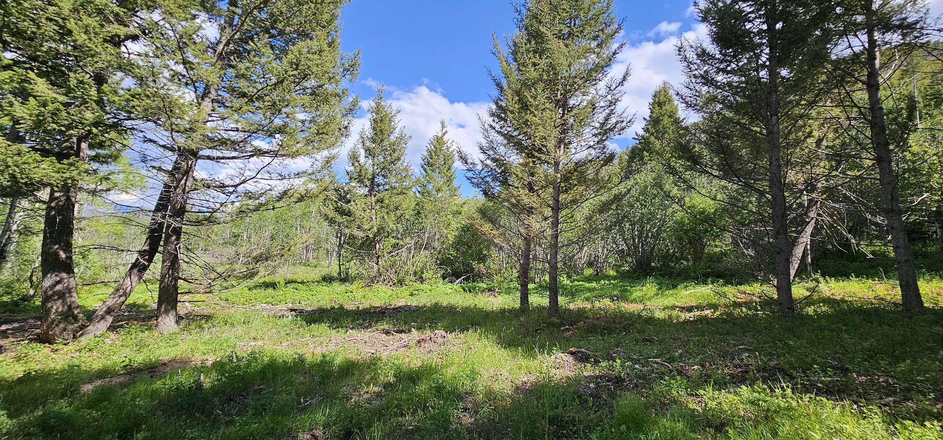 8 Tract Hall Creek Property Photo 11