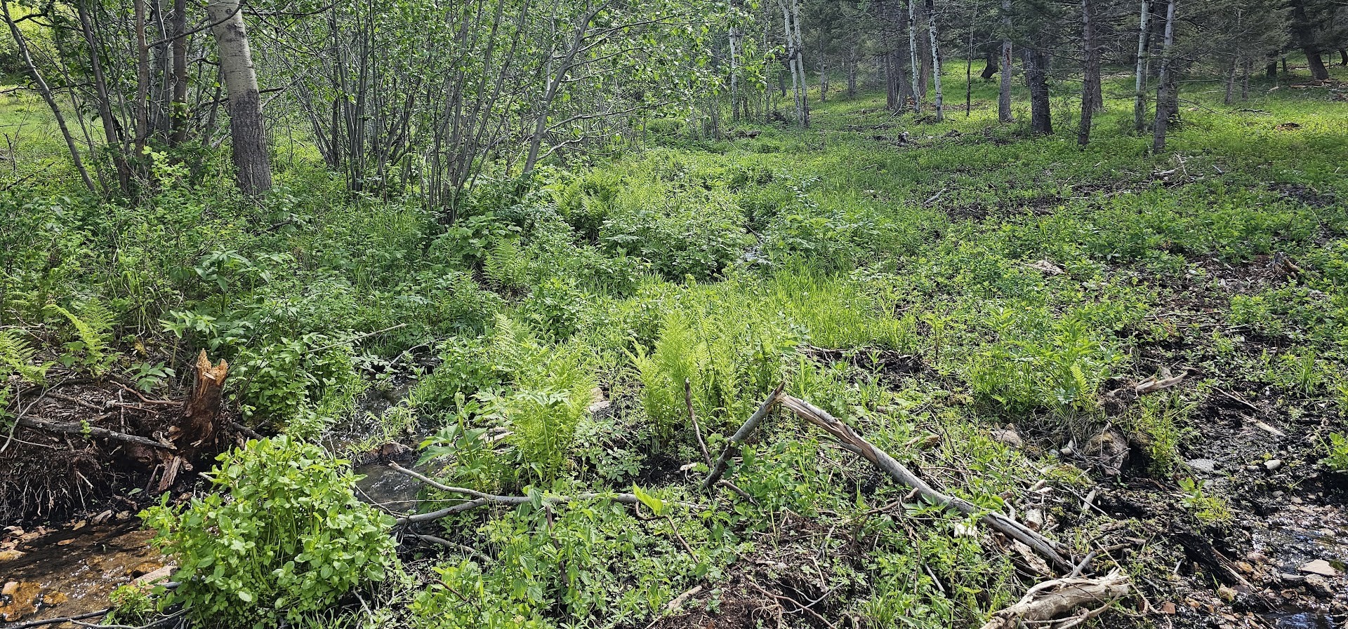8 Tract Hall Creek Property Photo 13