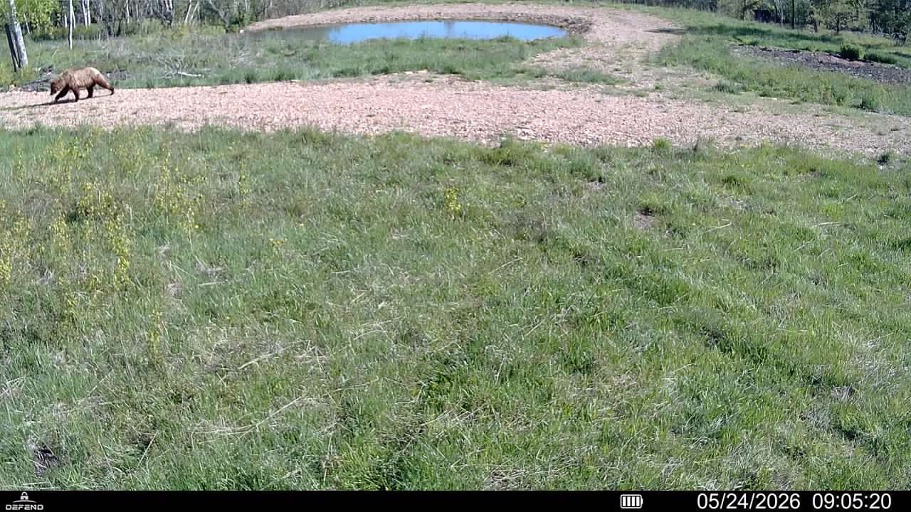 8 Tract Hall Creek Property Photo 18