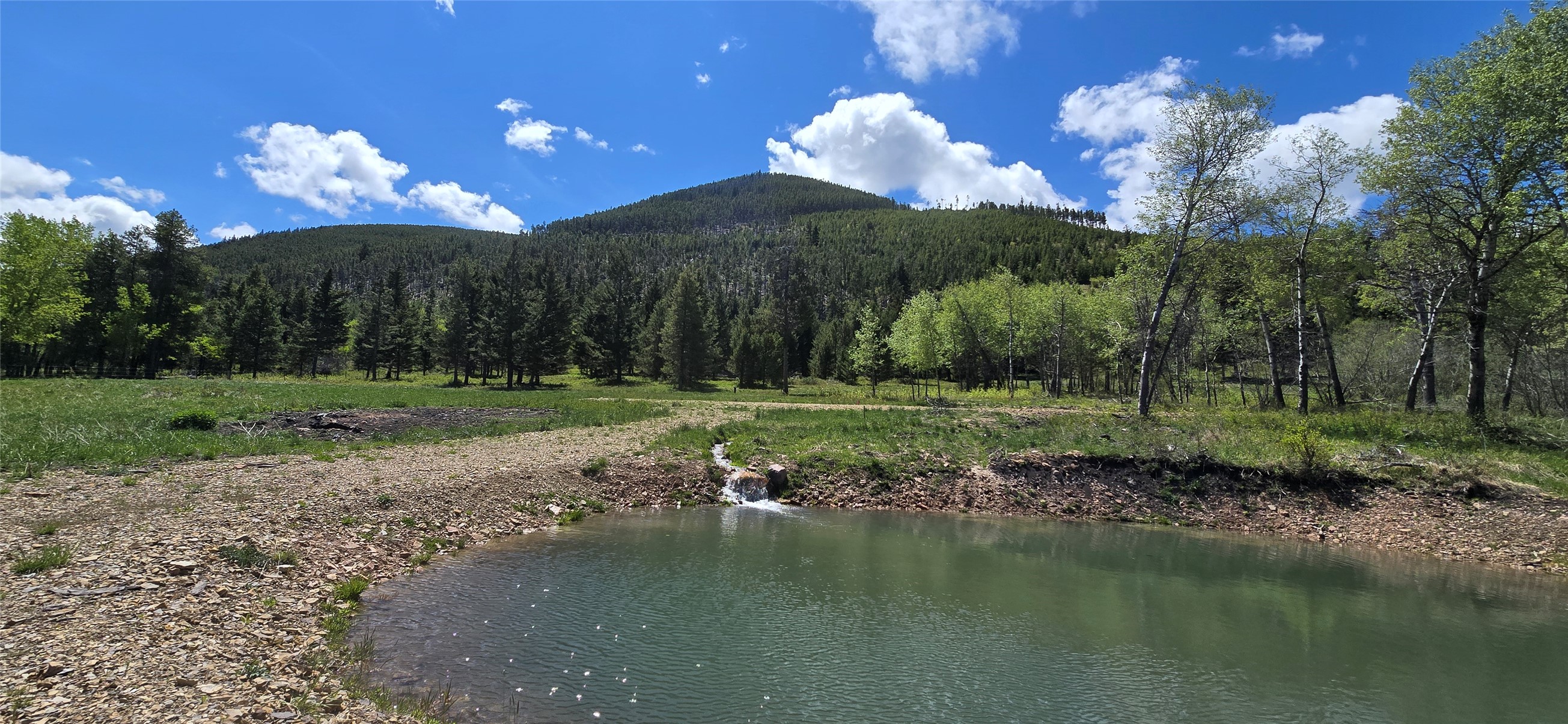 8 Tract Hall Creek Property Photo 19