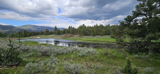 Tract 10 Hall Creek Property Photo 4