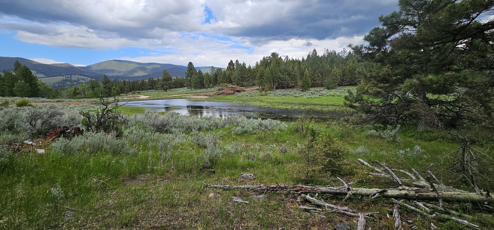 Tract 10 Hall Creek Property Photo 5