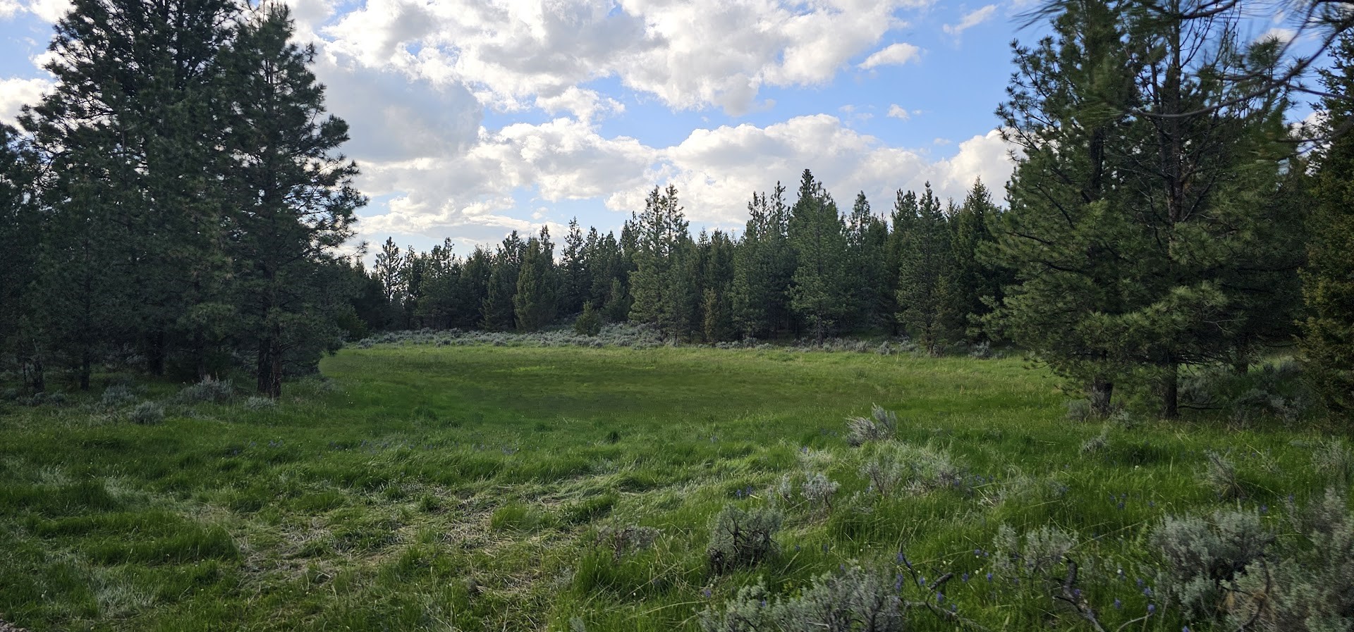 Tract 10 Hall Creek Property Photo 8