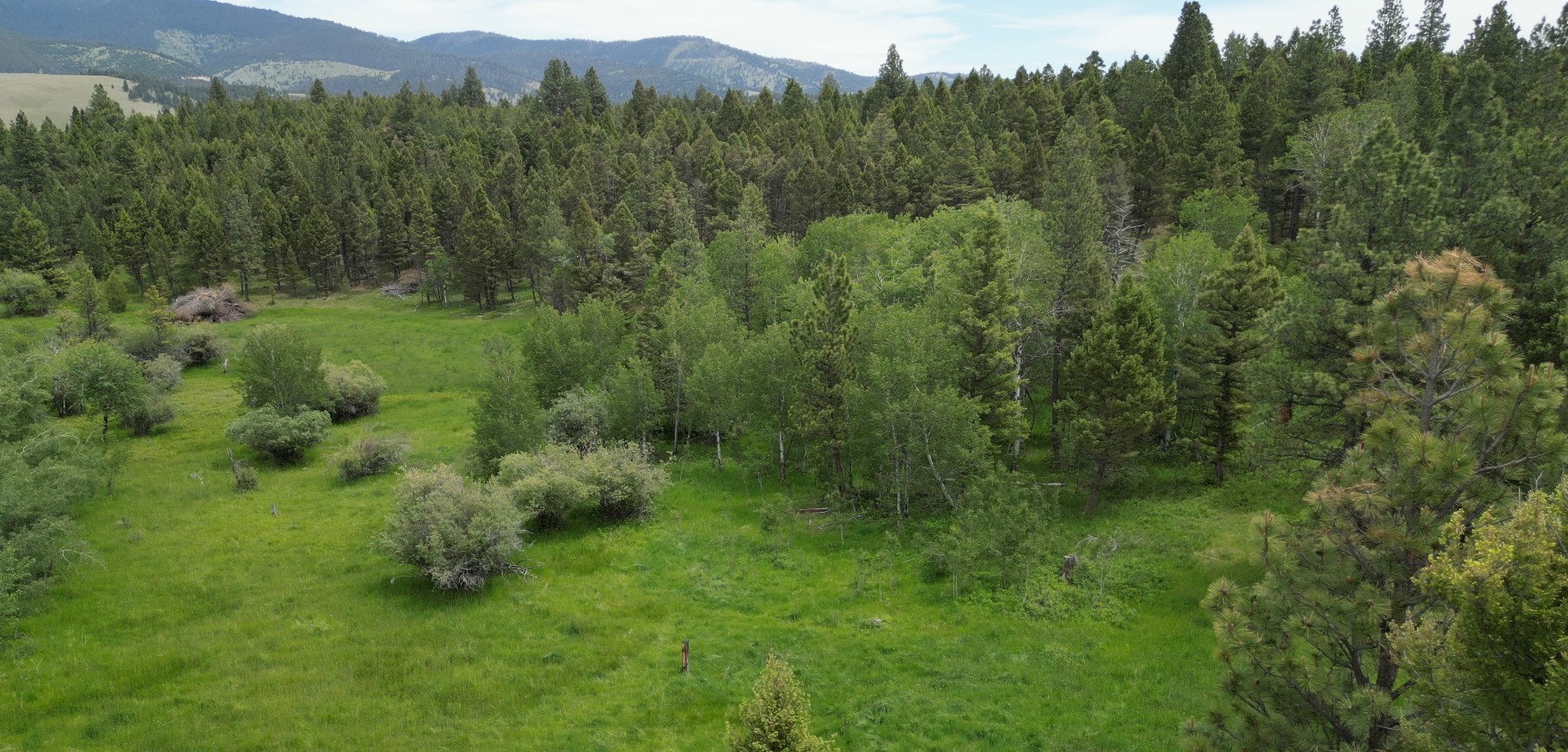 Tract 10 Hall Creek Property Photo 12