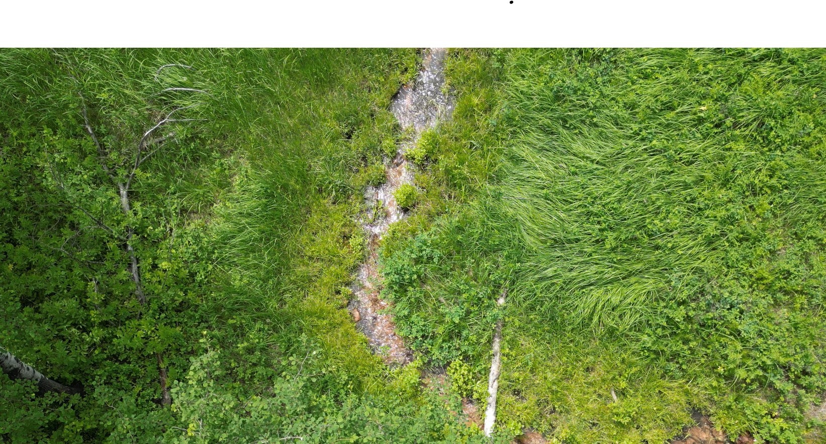 Tract 10 Hall Creek Property Photo 13