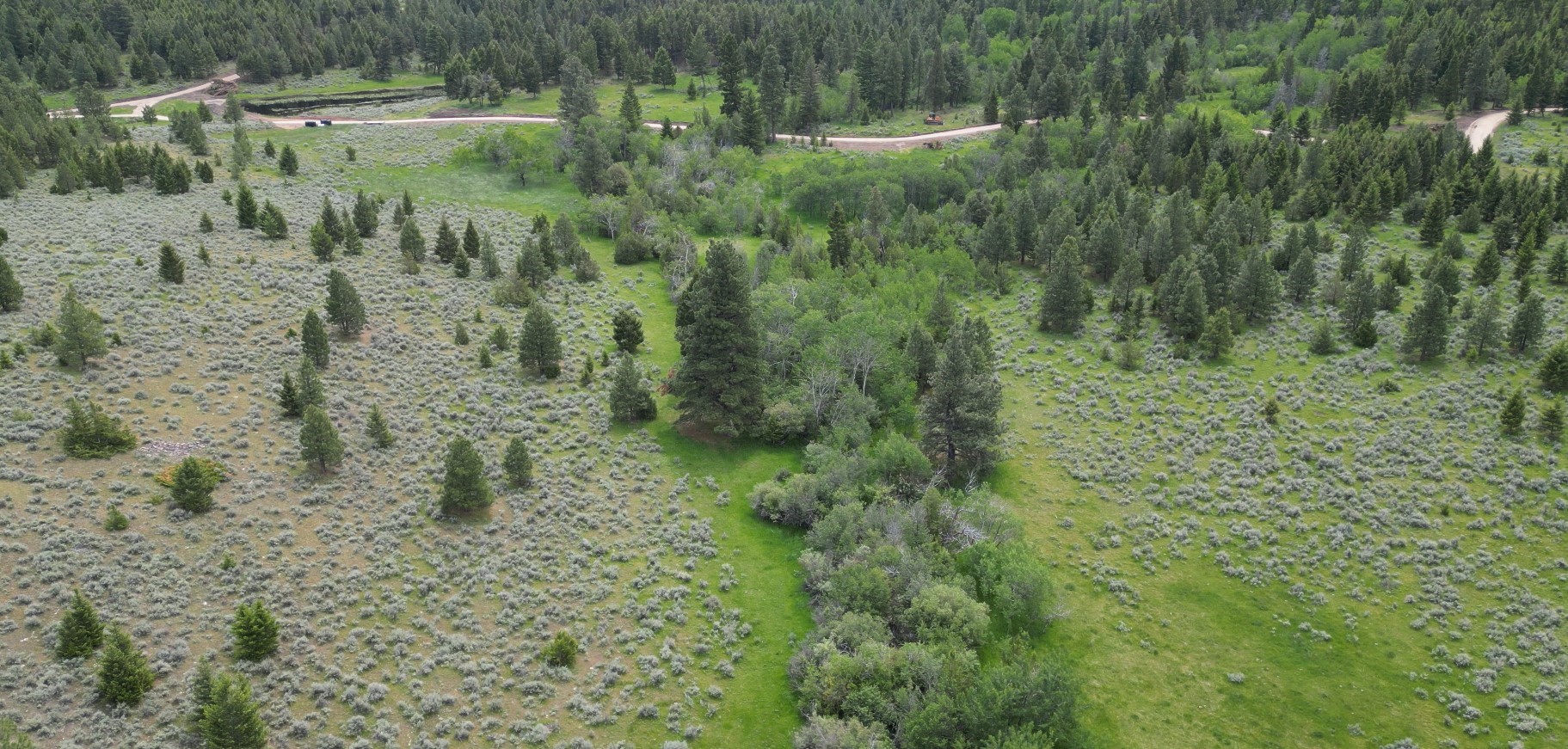 Tract 10 Hall Creek Property Photo 14