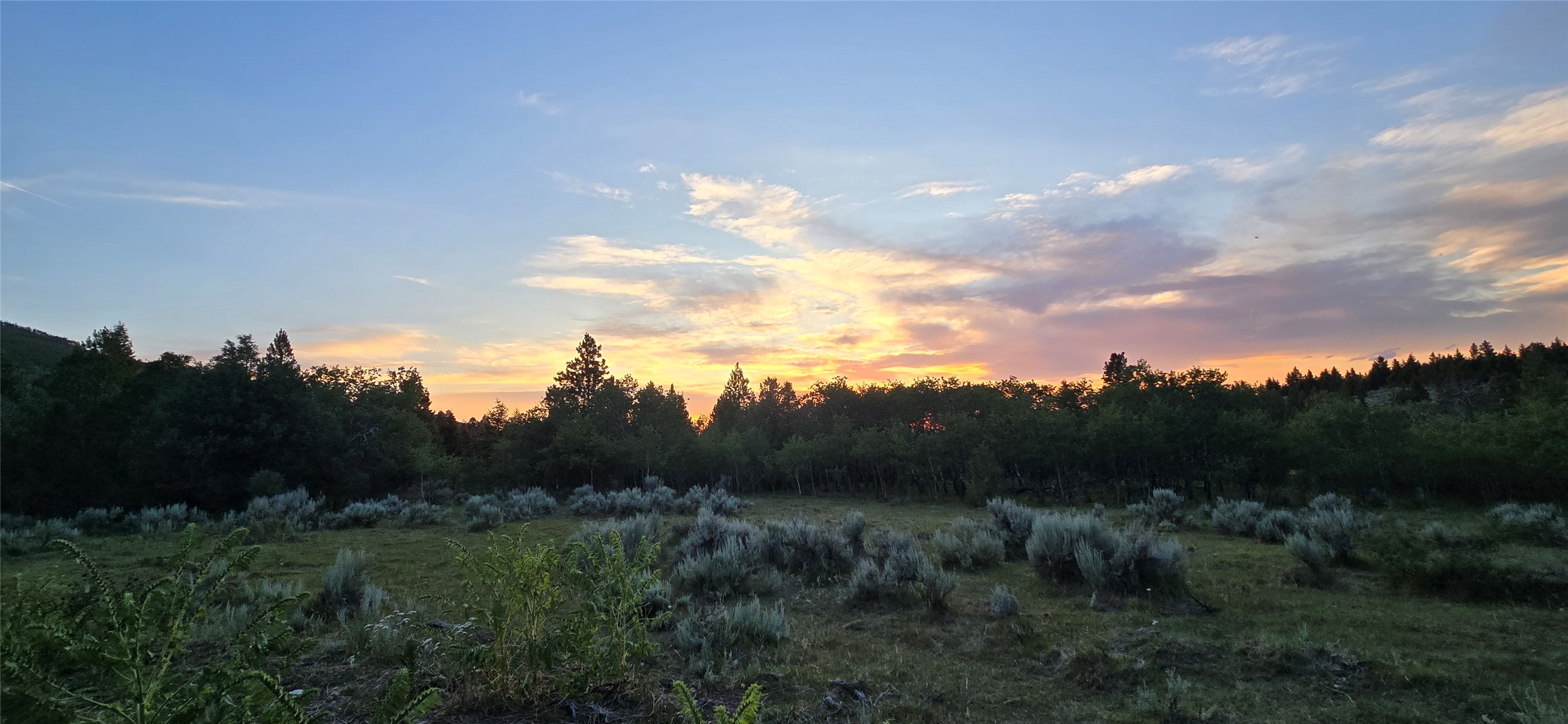 Tract 10 Hall Creek Property Photo 17