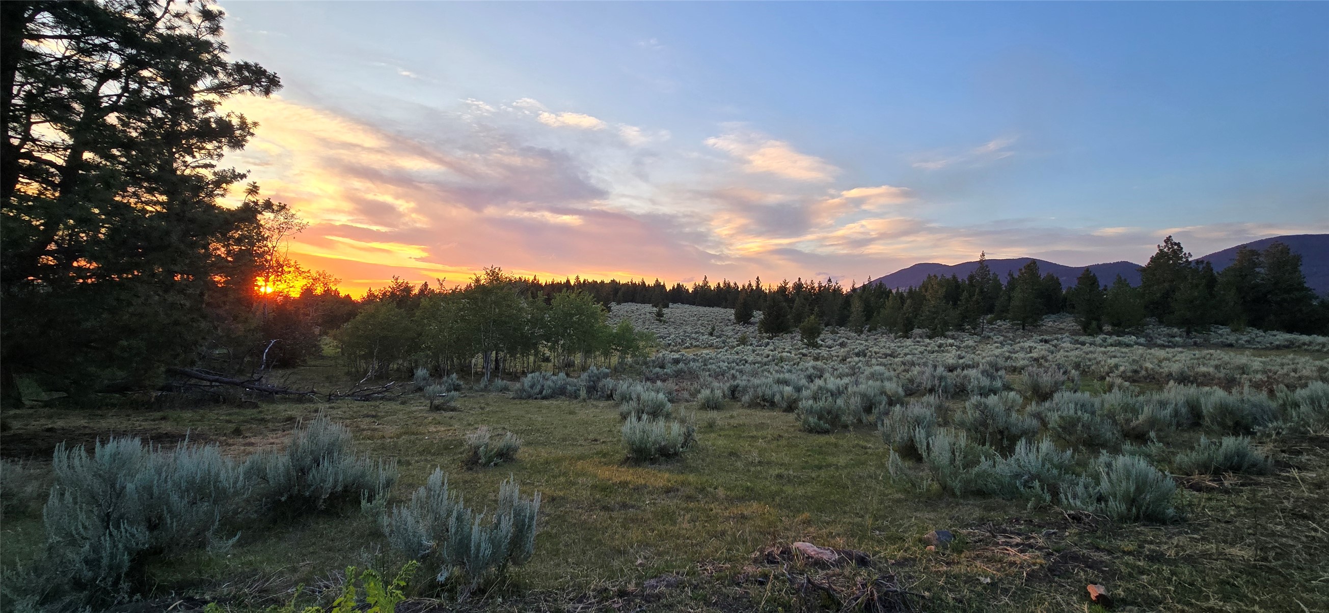 Tract 10 Hall Creek Property Photo 18